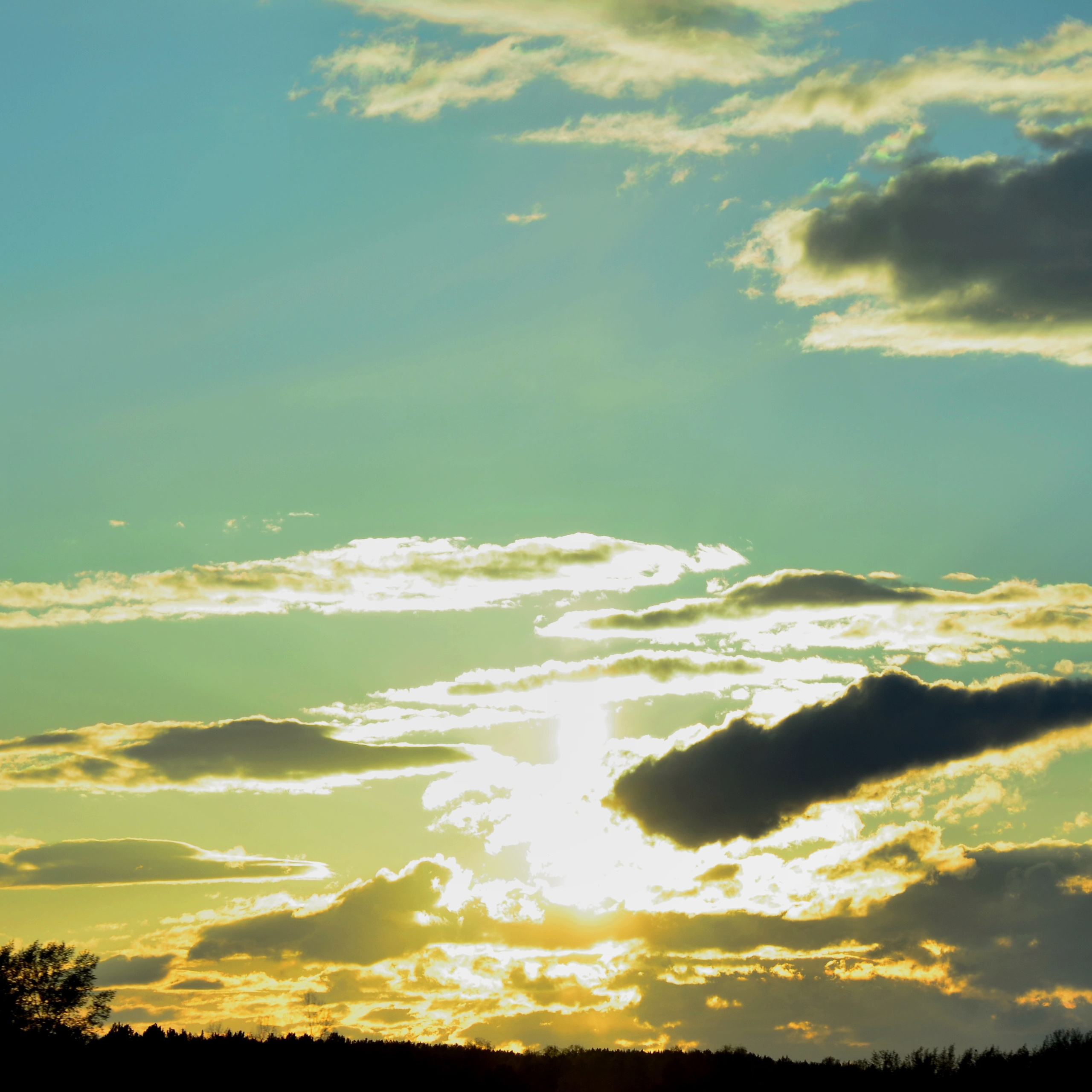 Фотограф viktor viktor