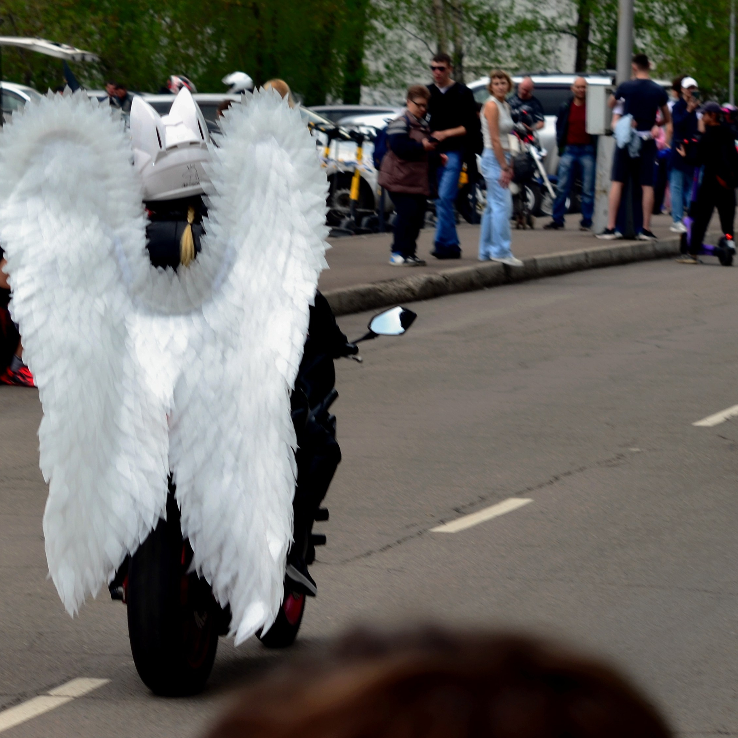 Фотограф viktor viktor
