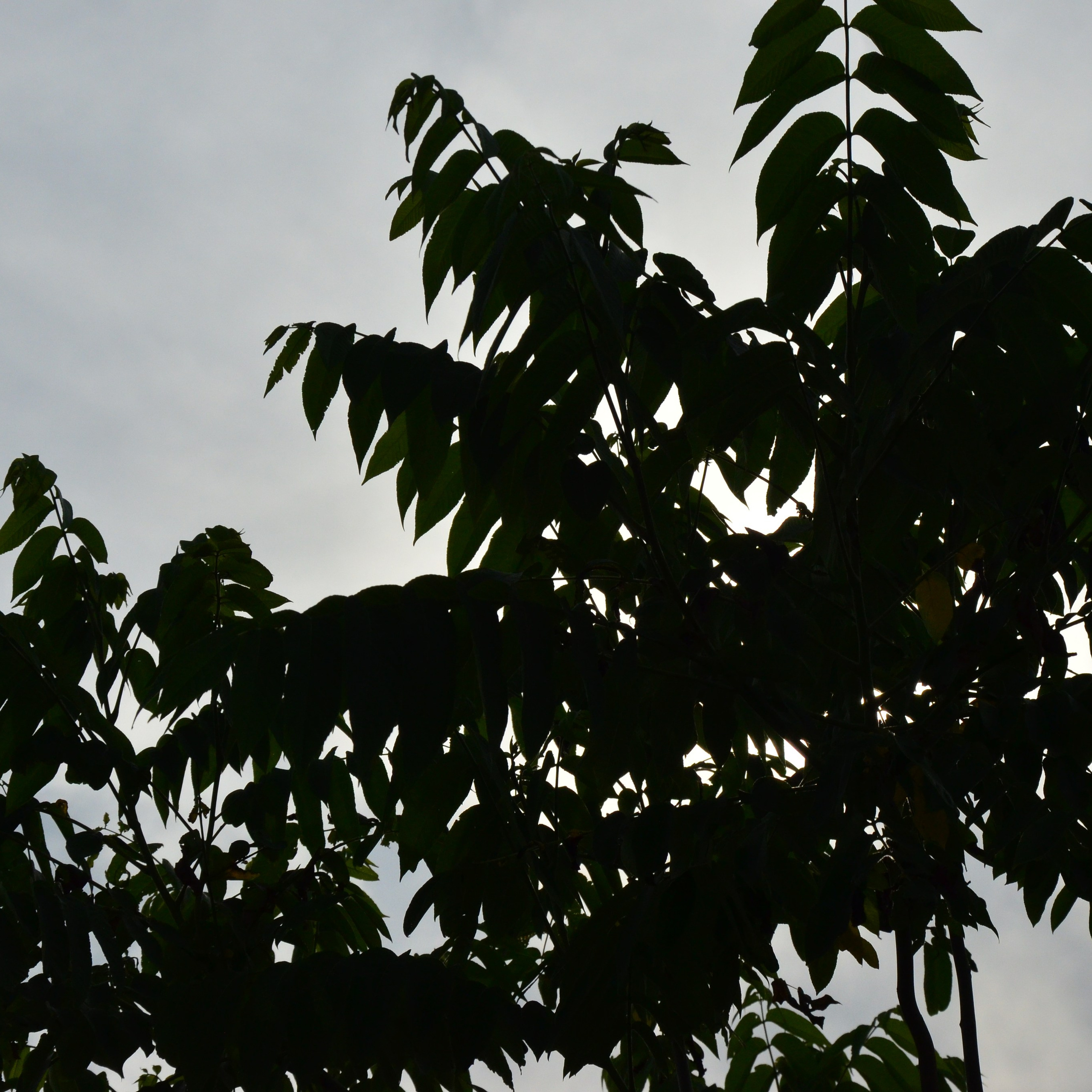 Фотограф viktor viktor