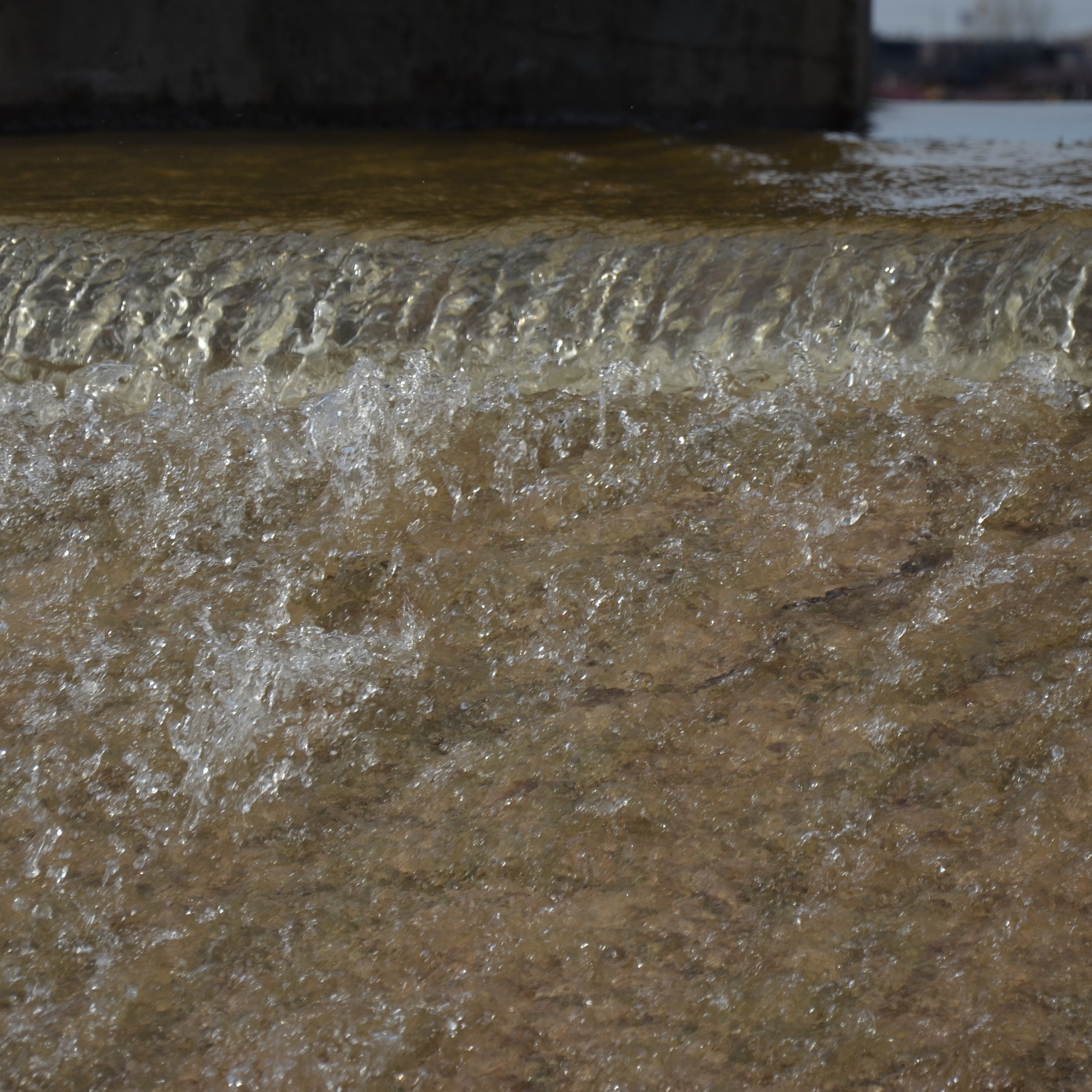 Фотограф viktor viktor