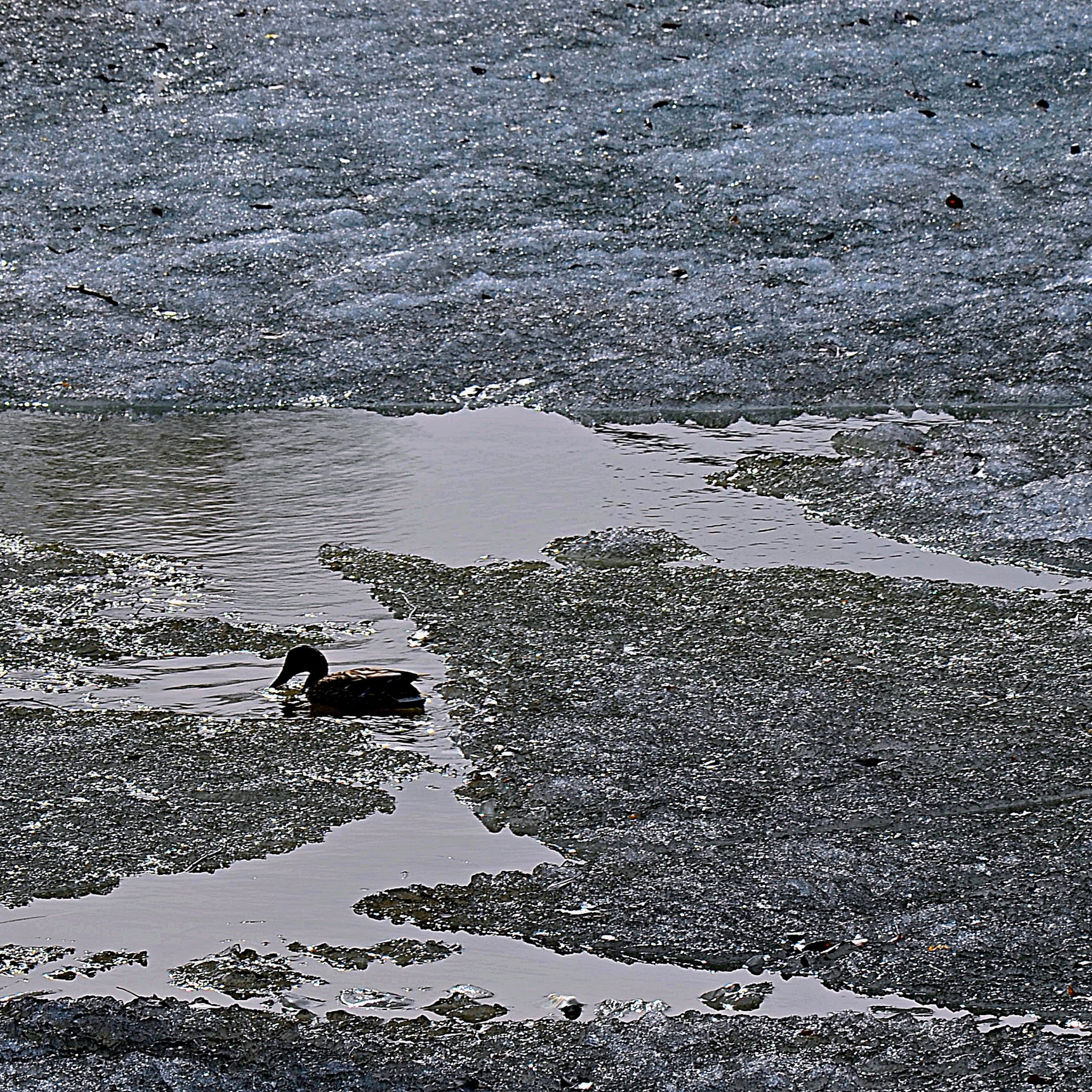 Фотограф viktor viktor