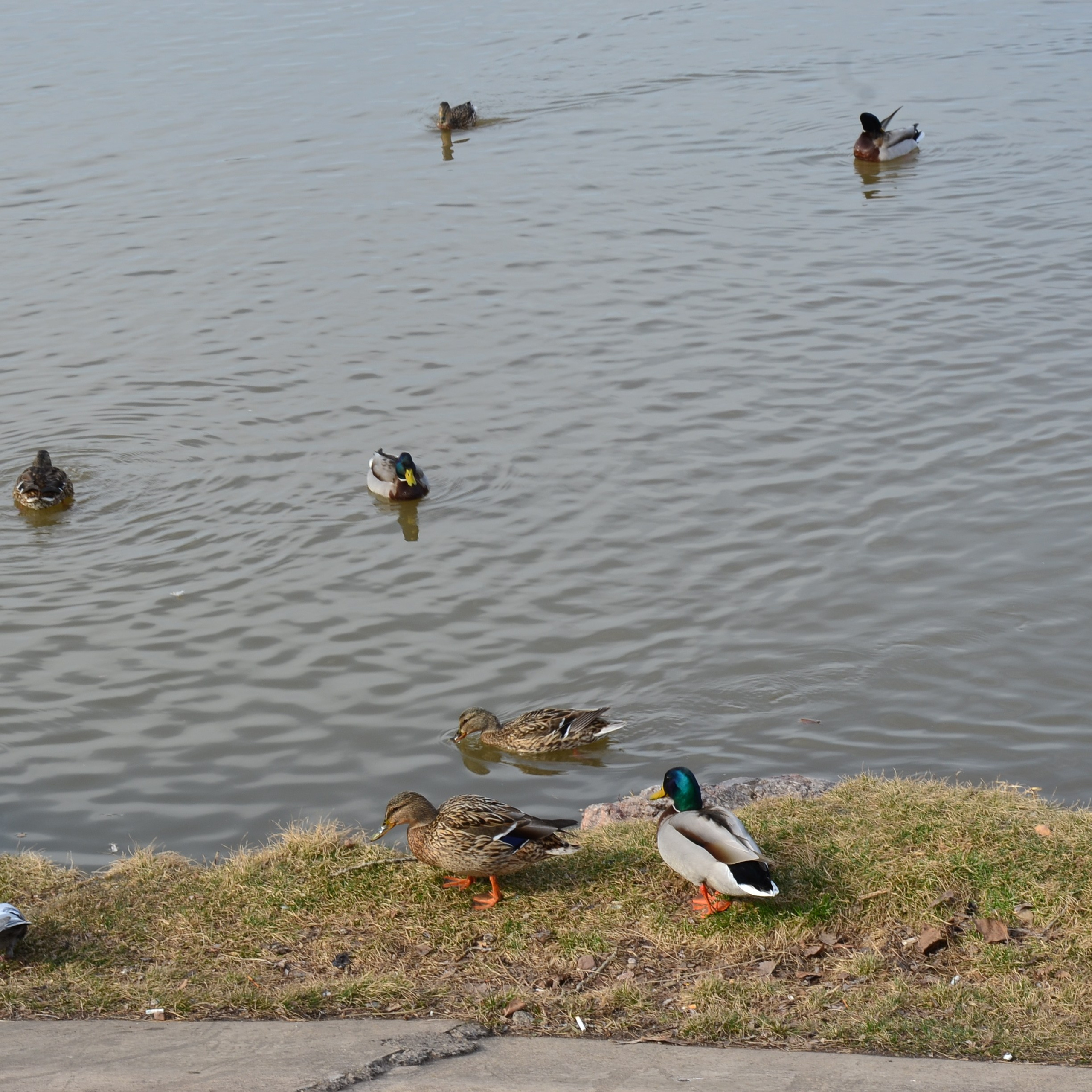 Фотограф viktor viktor