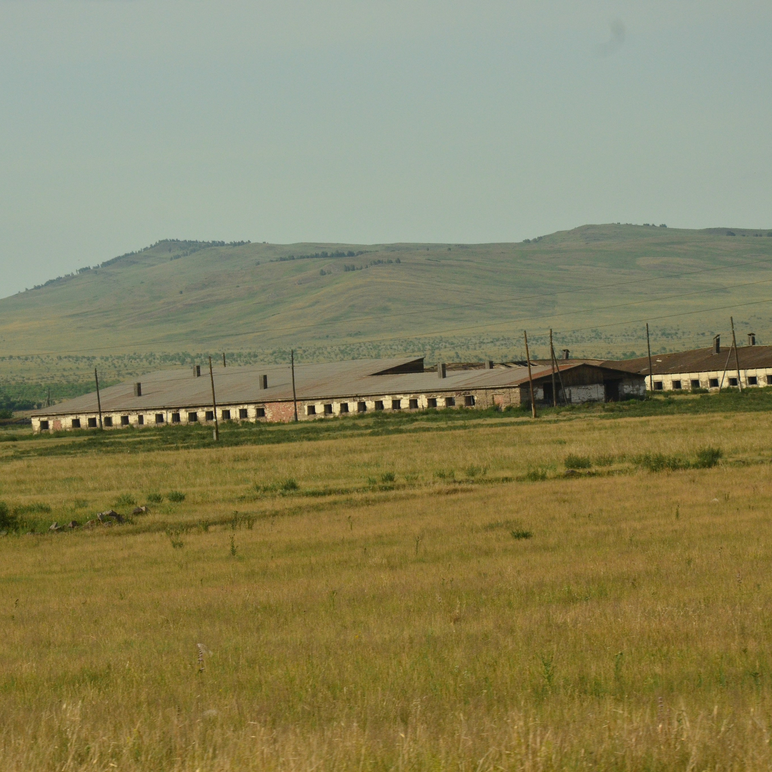 Фотограф viktor viktor