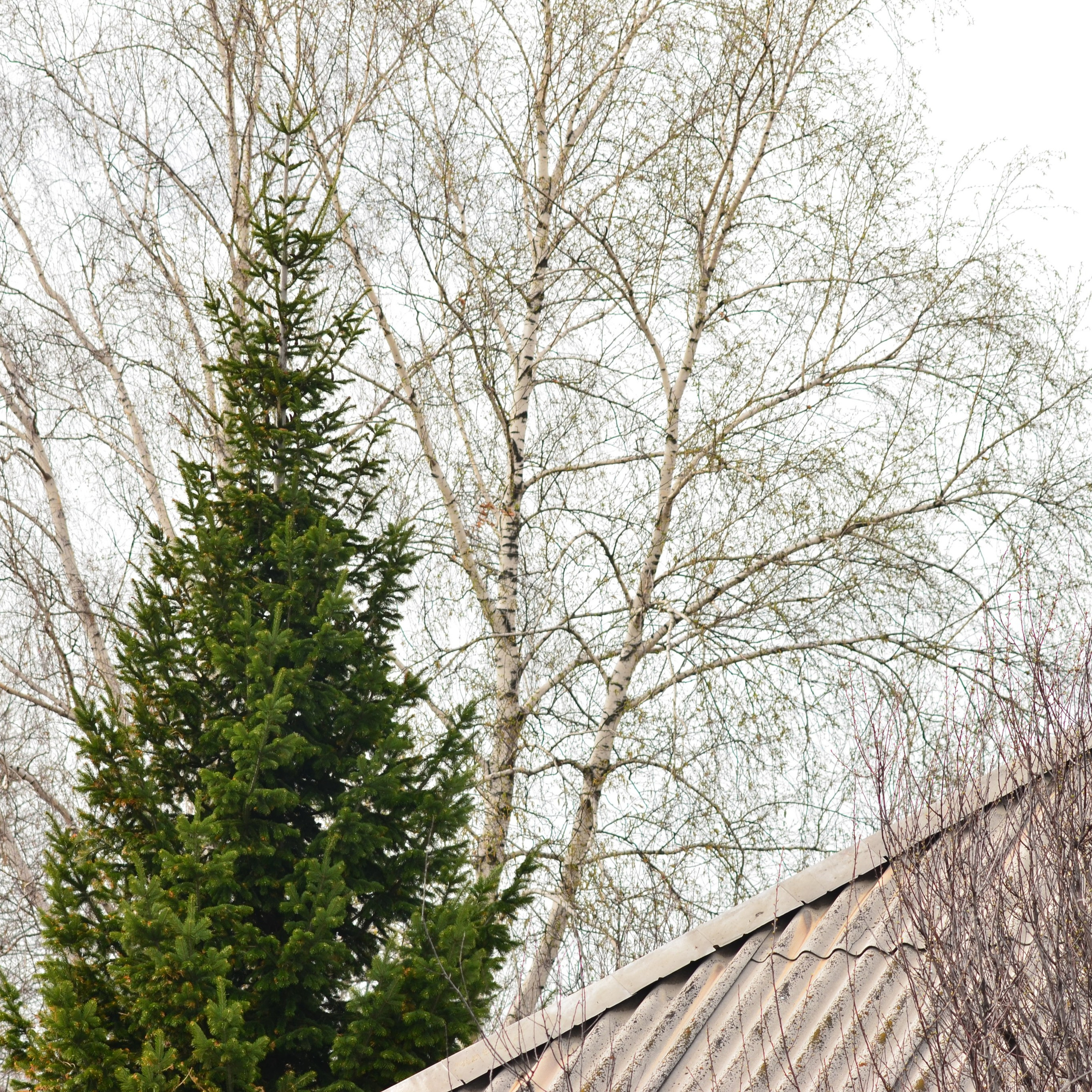 Фотограф viktor viktor