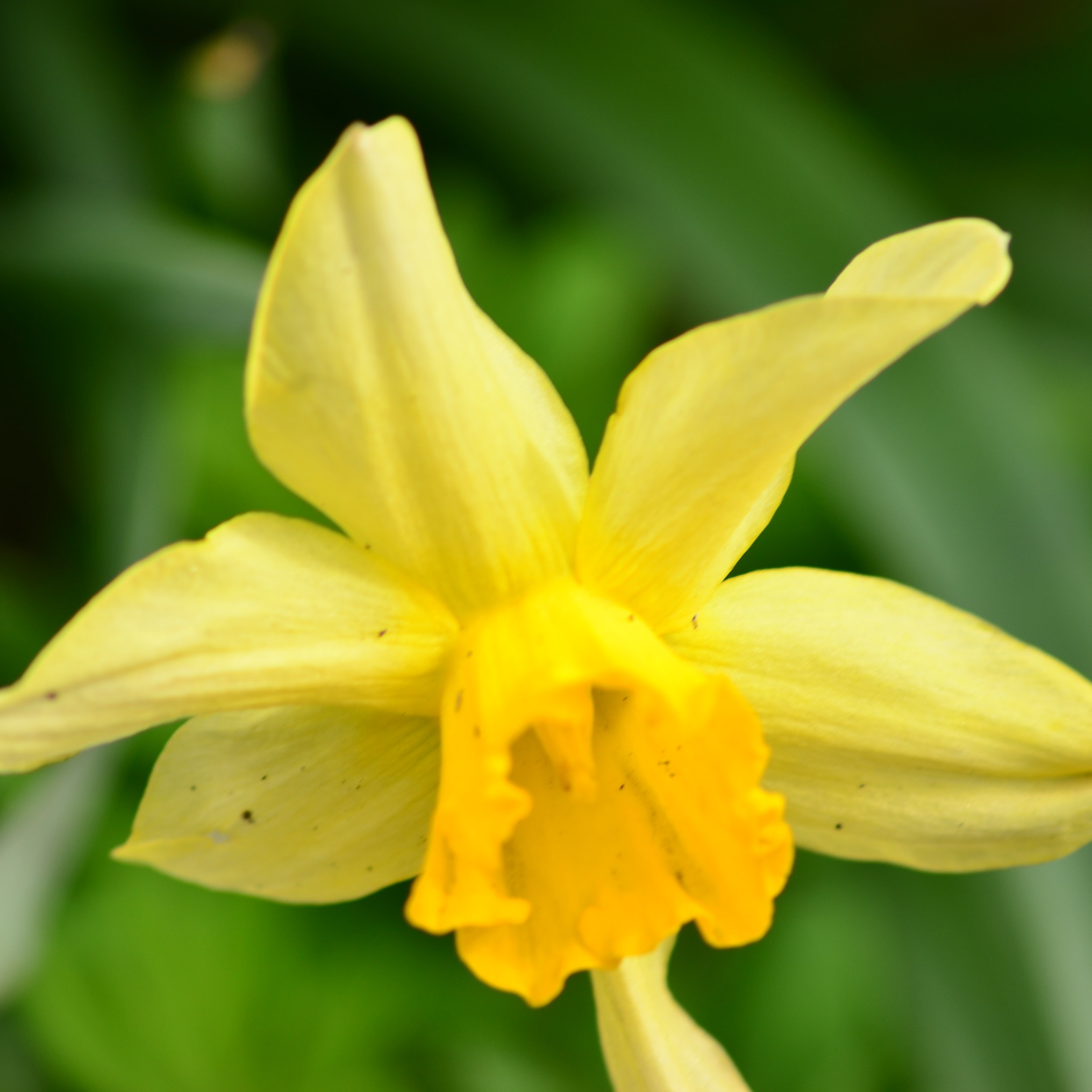 Фотограф viktor viktor