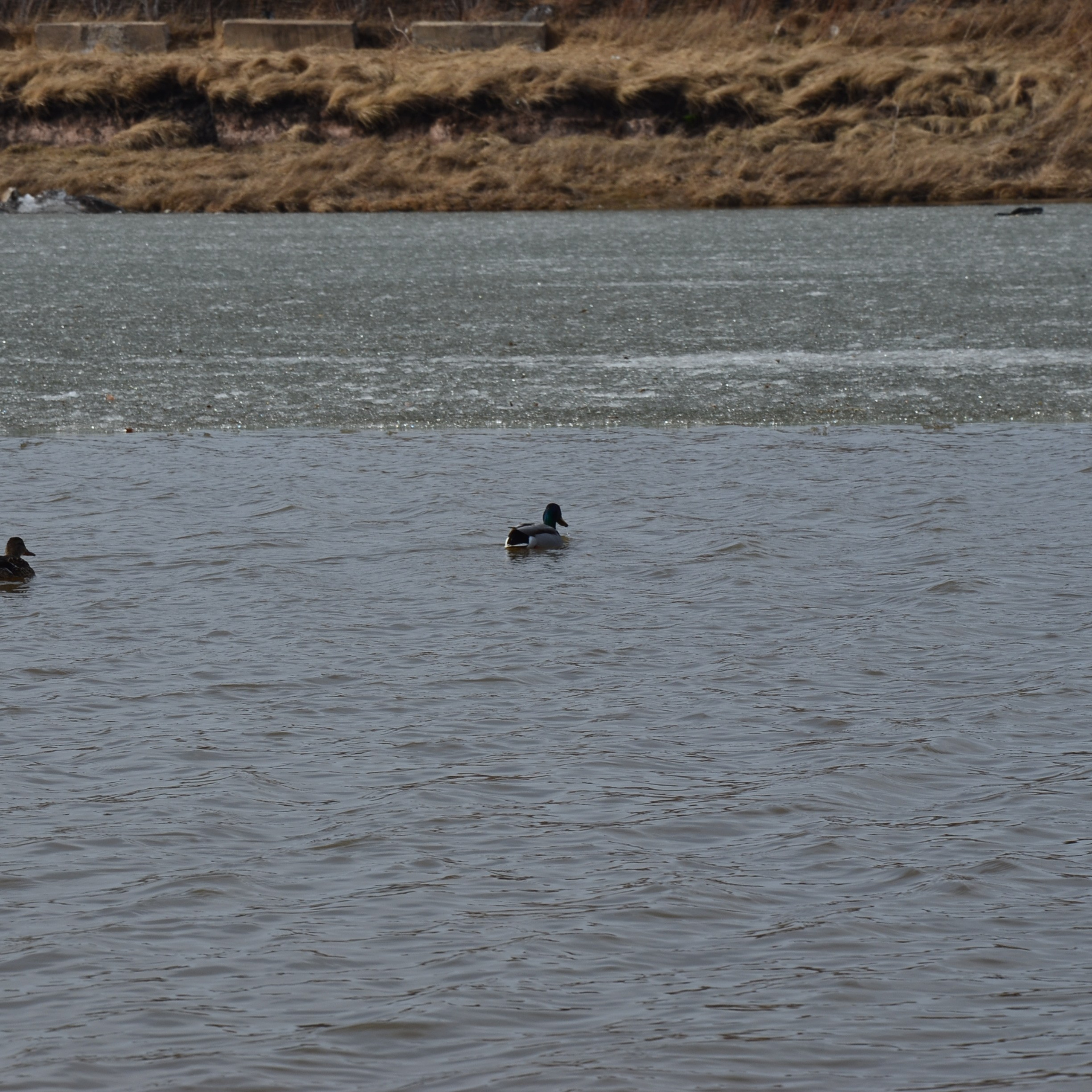 Фотограф viktor viktor