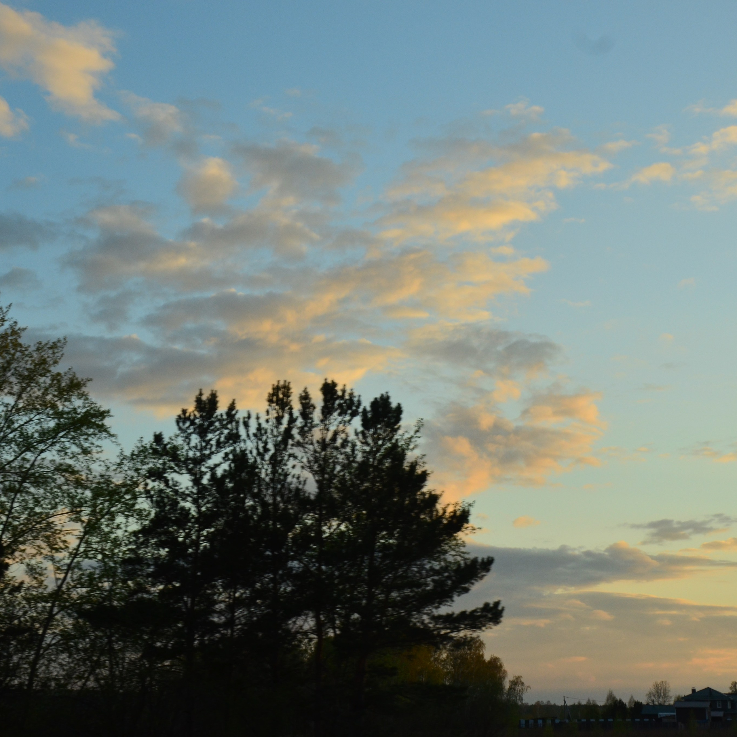 Фотограф viktor viktor