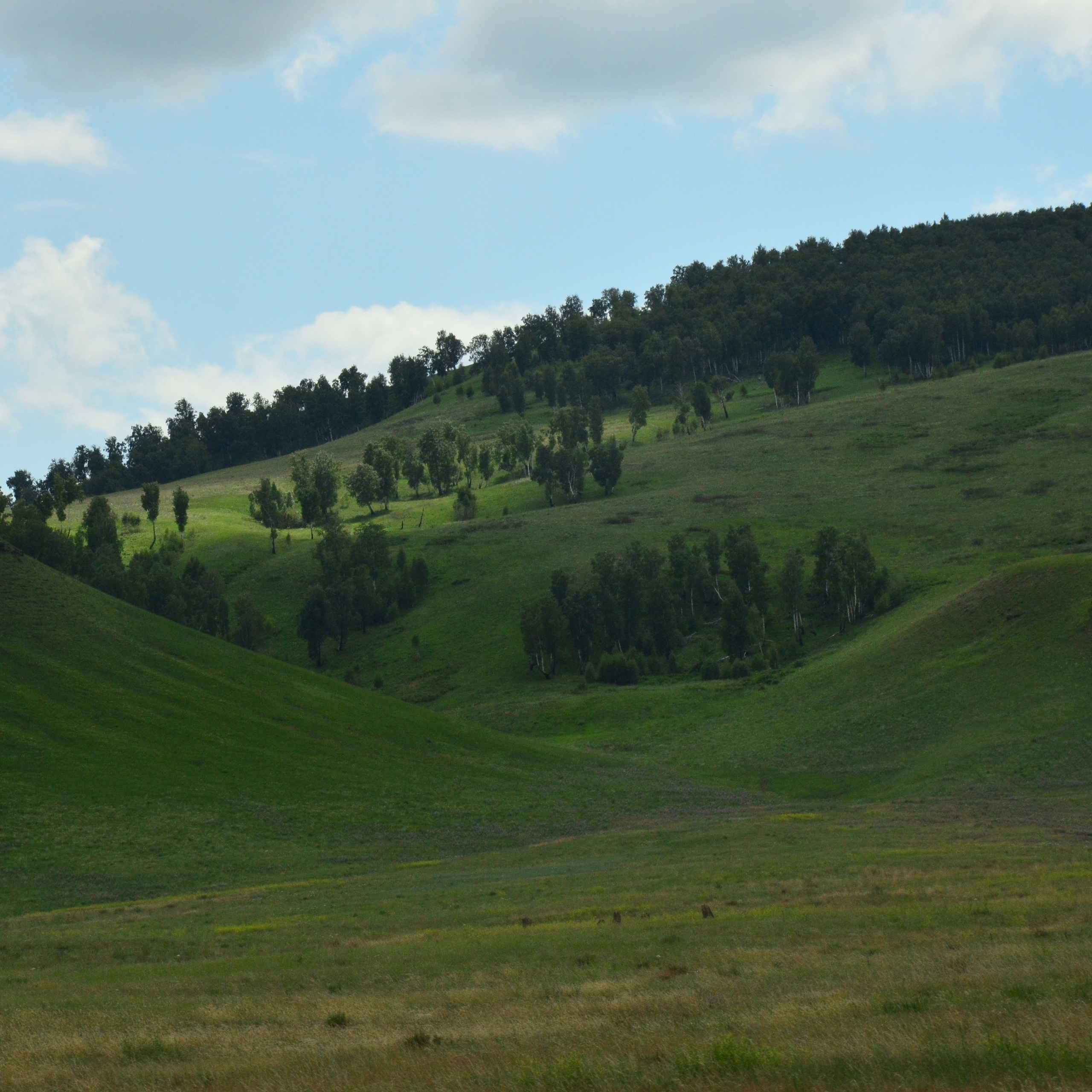 Фотограф viktor viktor