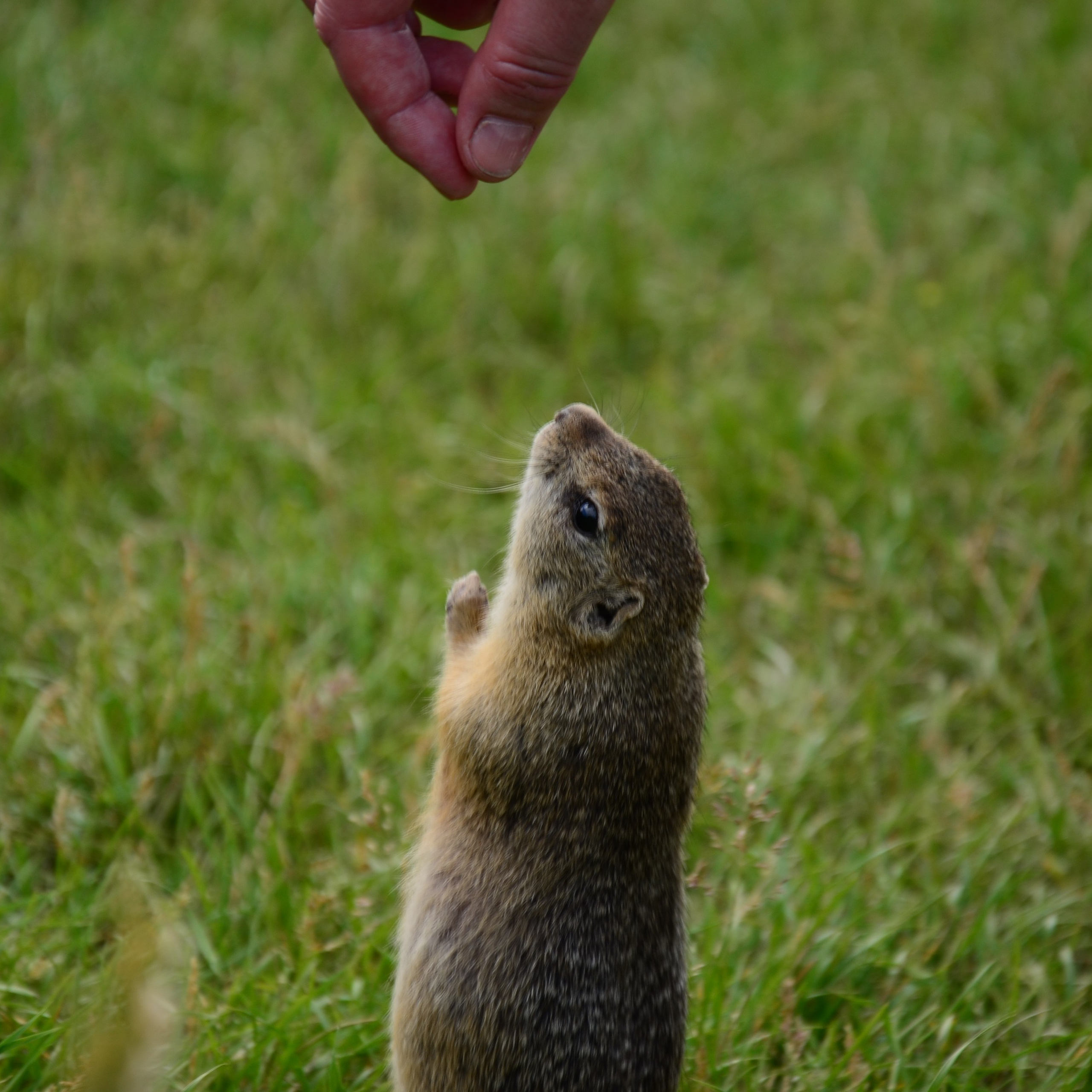 Фотограф viktor viktor