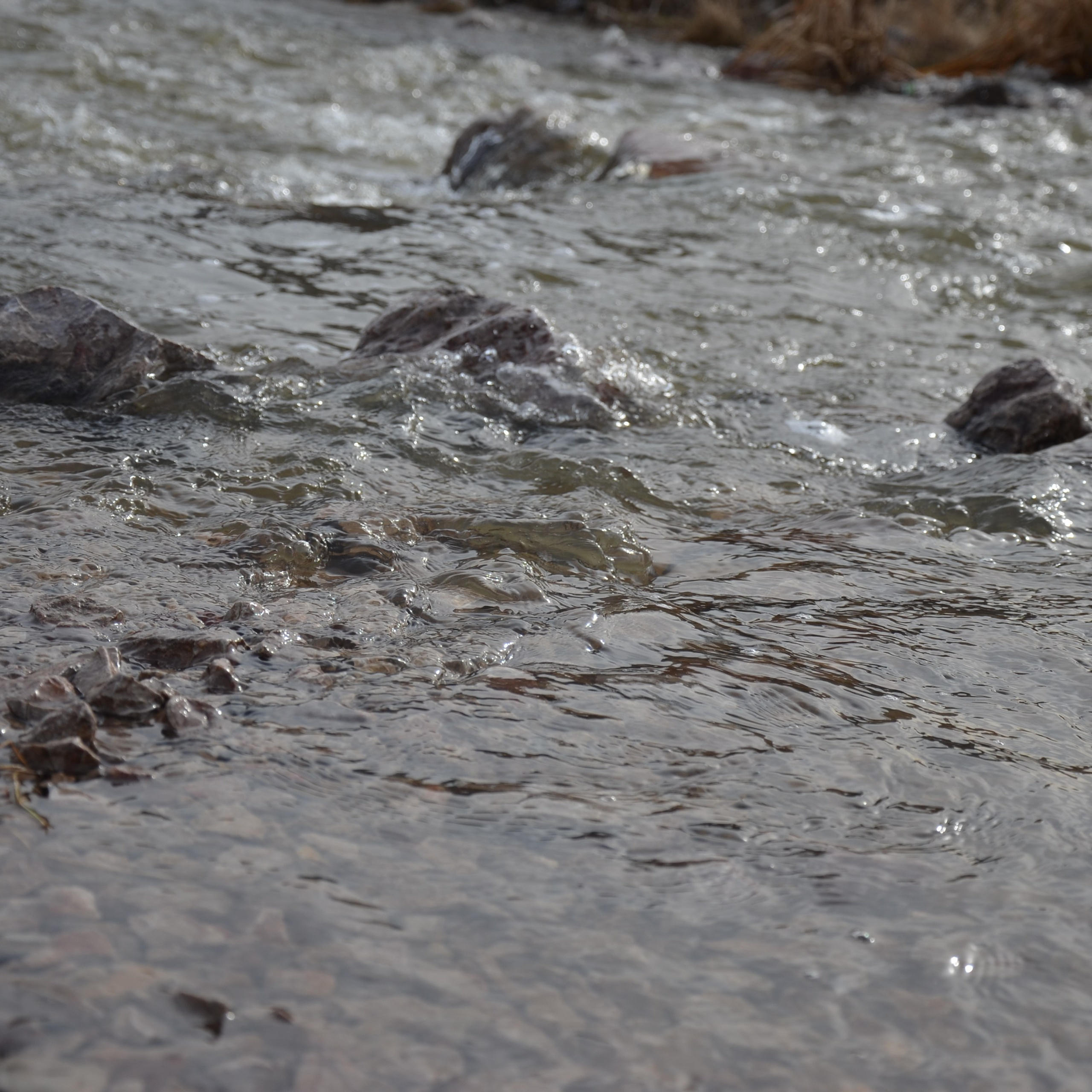 Фотограф viktor viktor