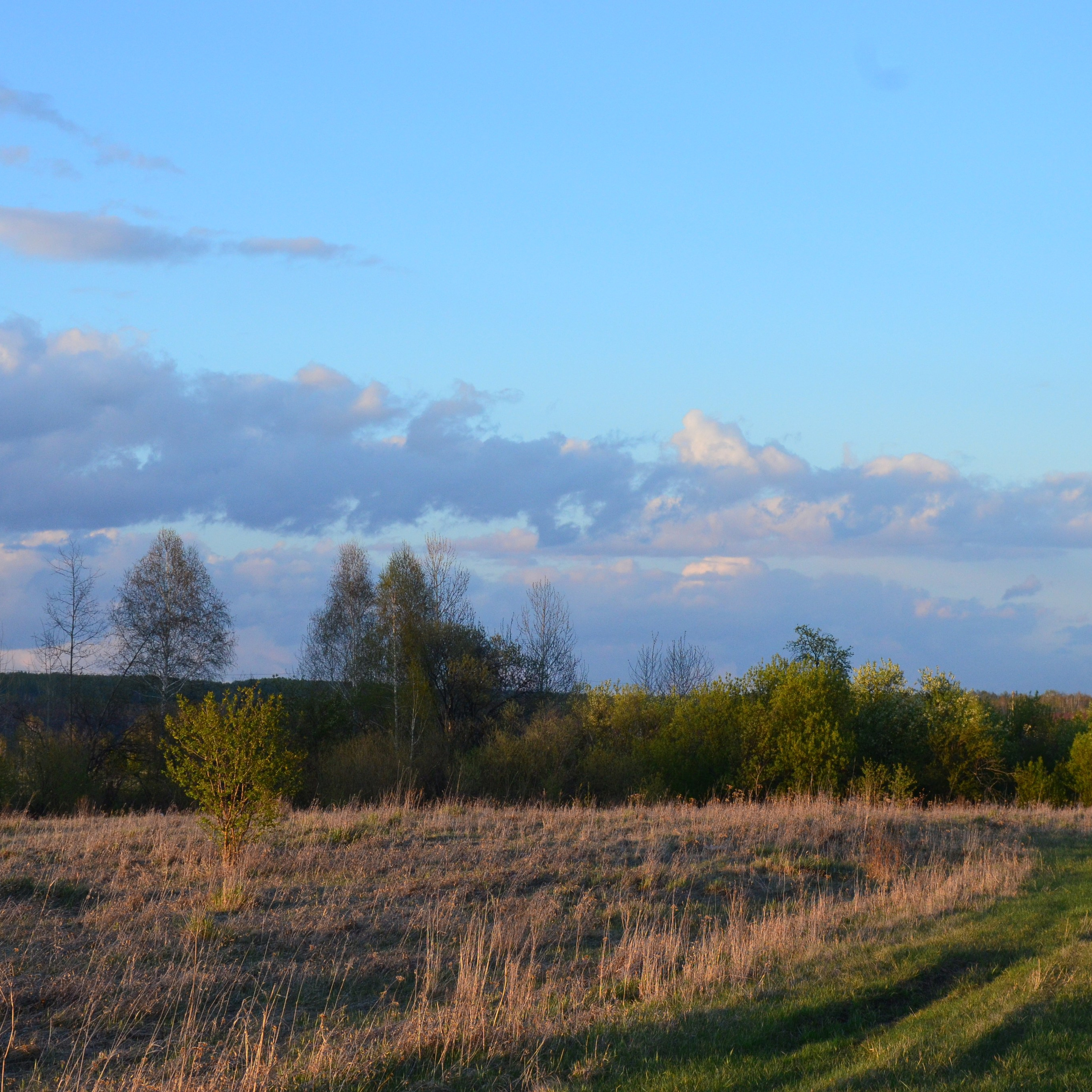 Фотограф viktor viktor