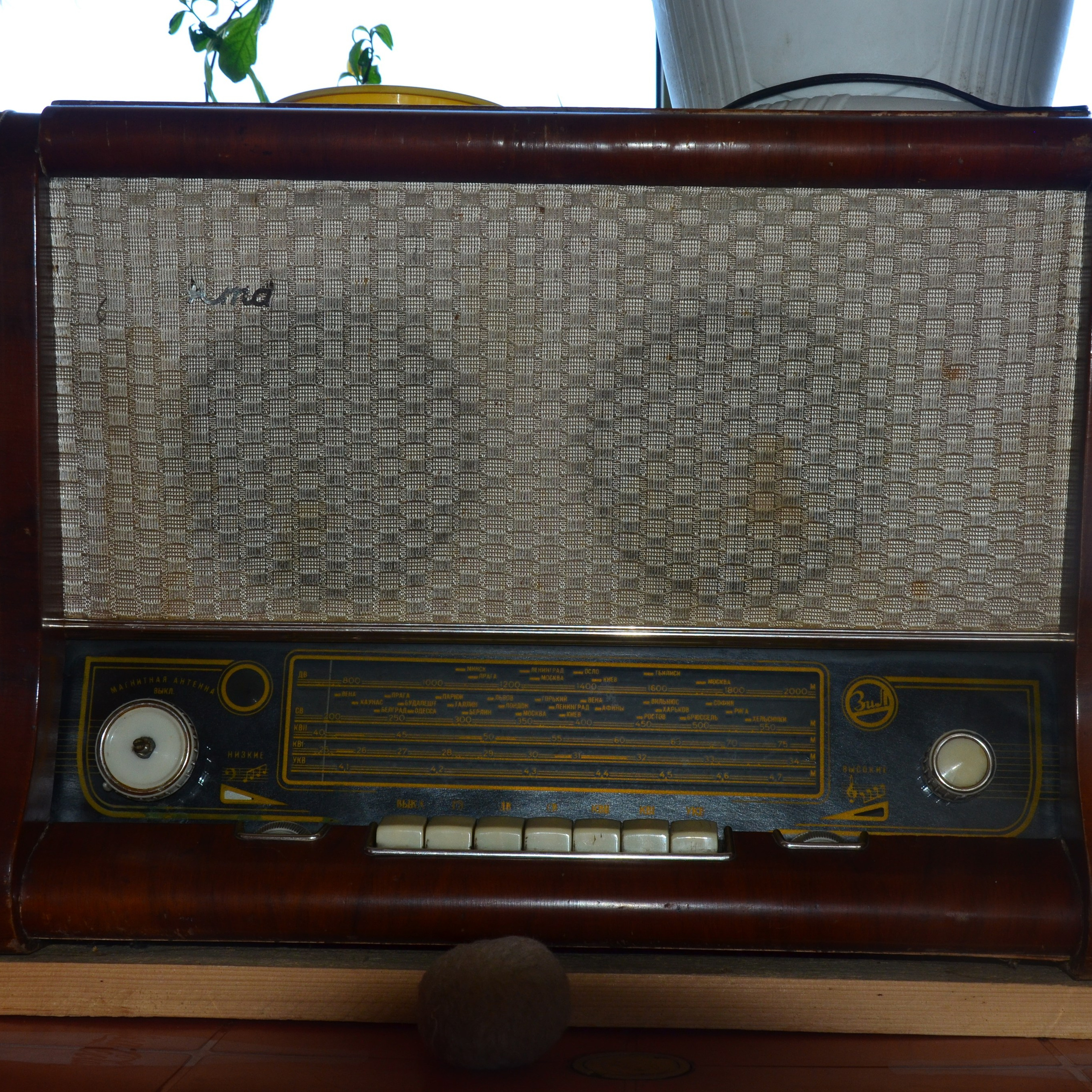 Фотограф viktor viktor