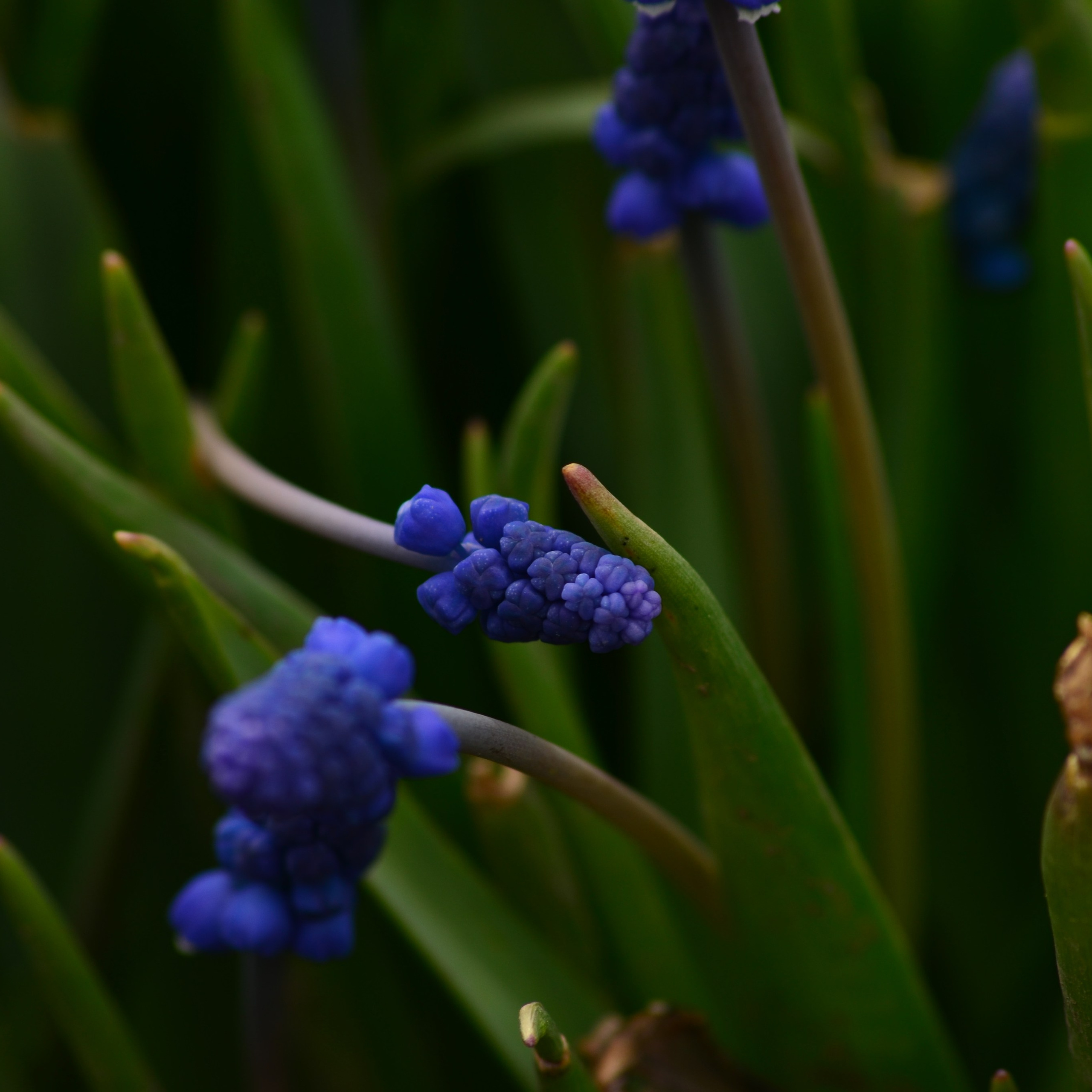 Фотограф viktor viktor