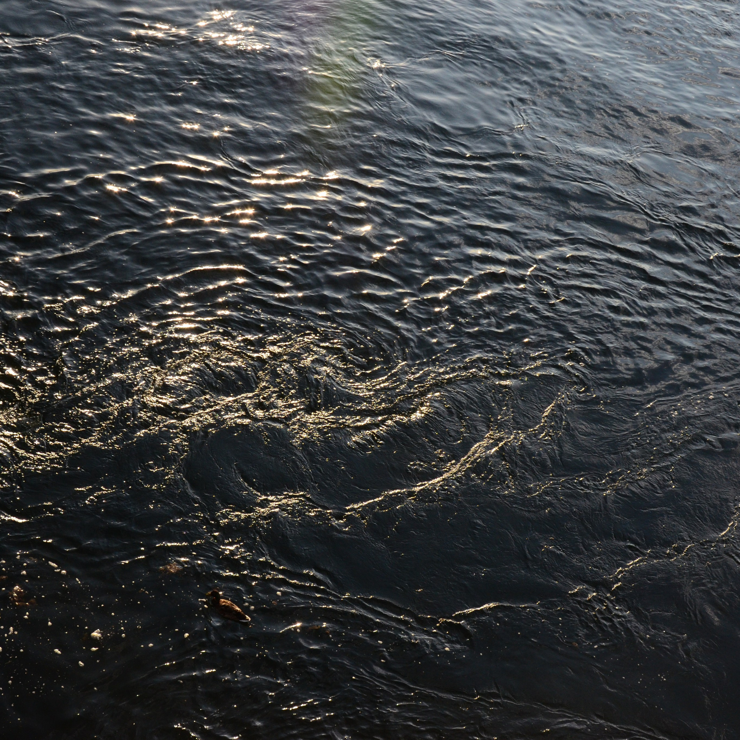 Фотограф viktor viktor