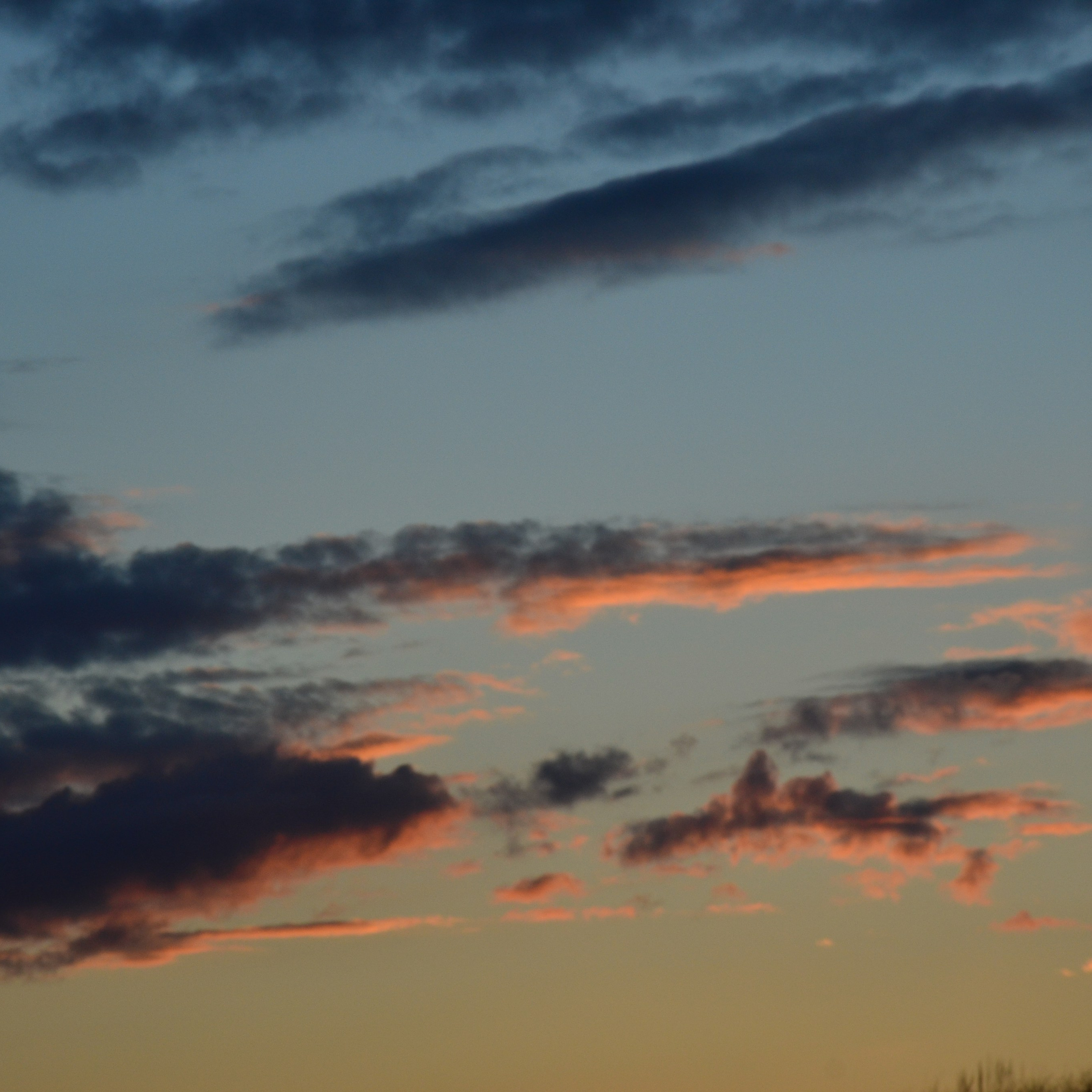 Фотограф viktor viktor