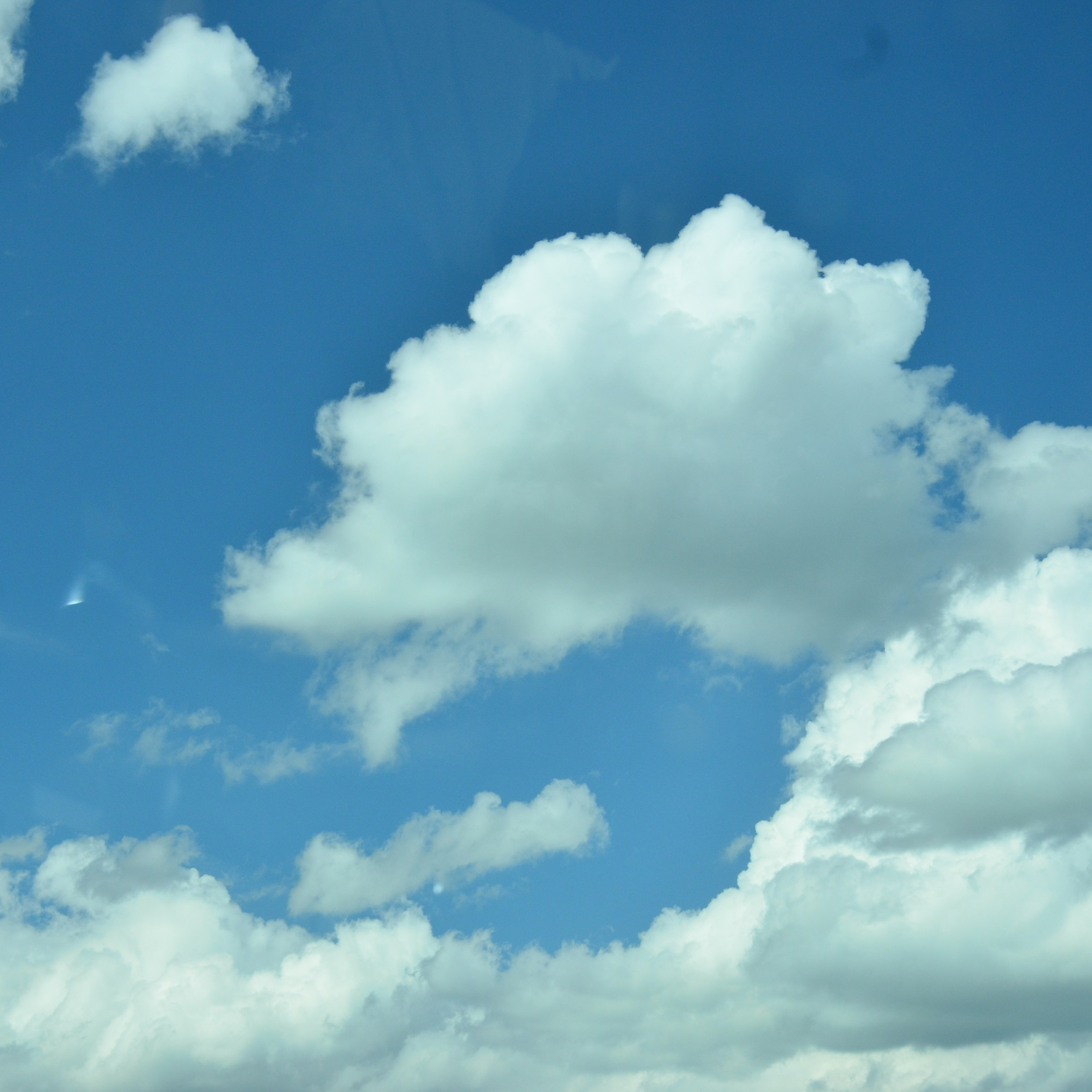 Фотограф viktor viktor