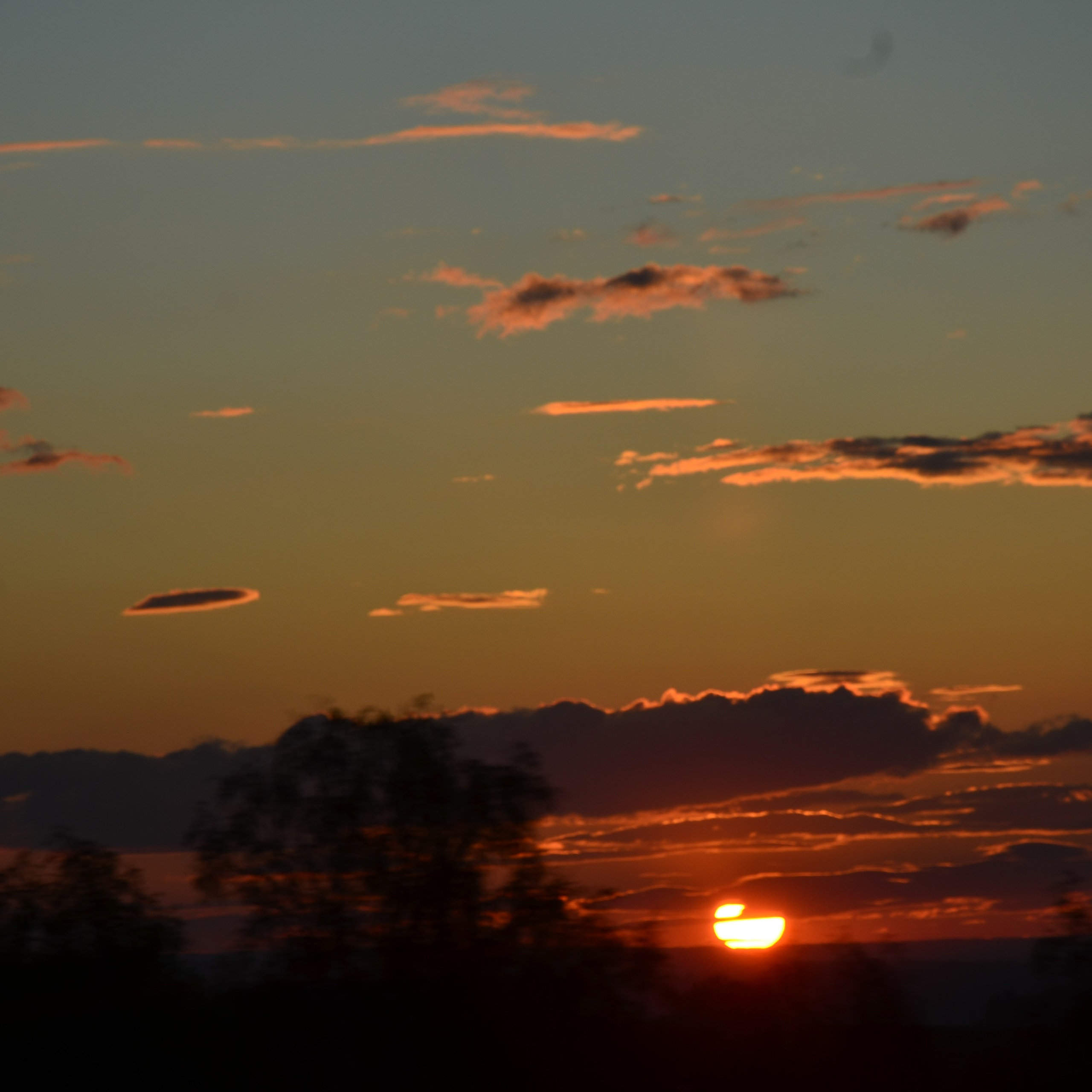Фотограф viktor viktor