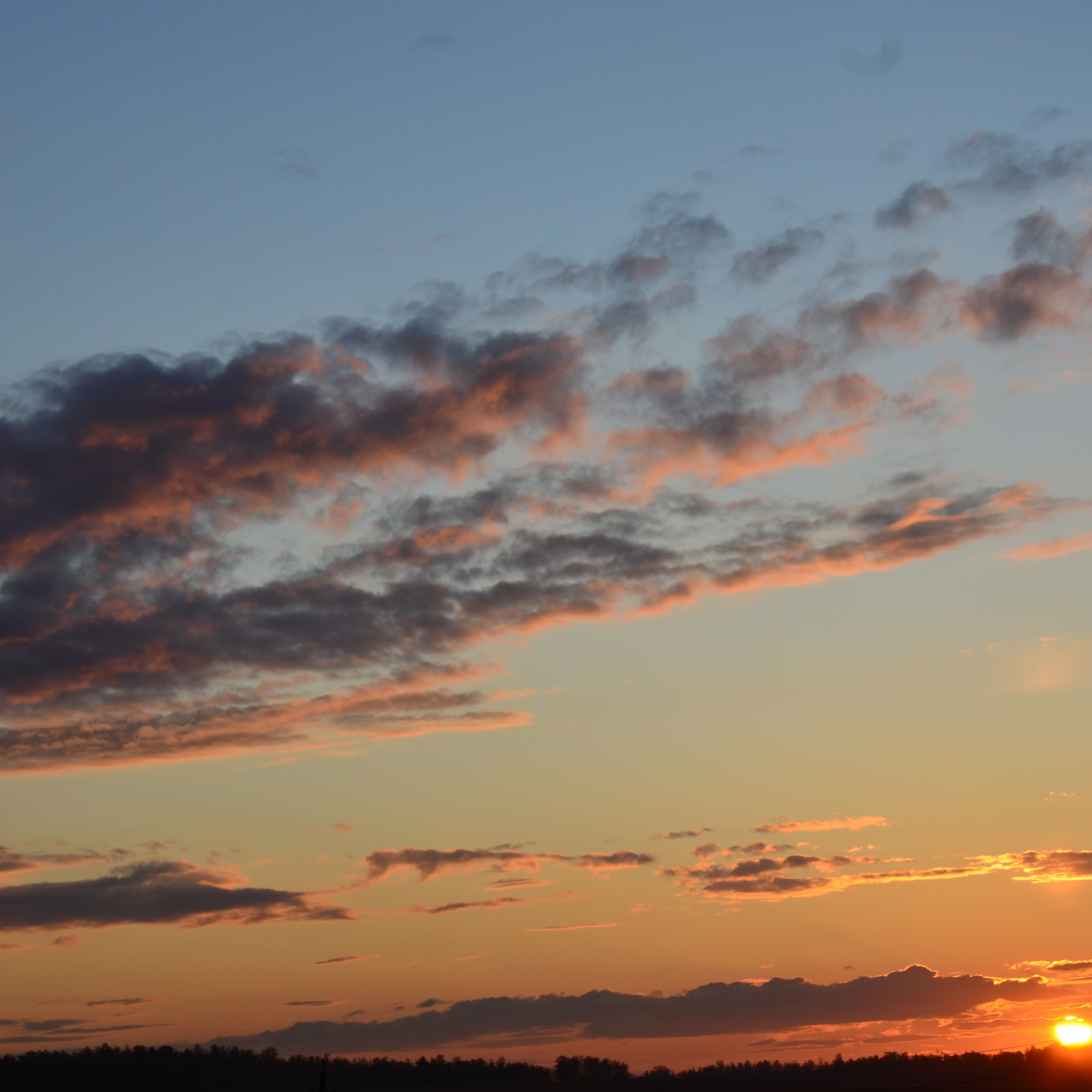 Фотограф viktor viktor