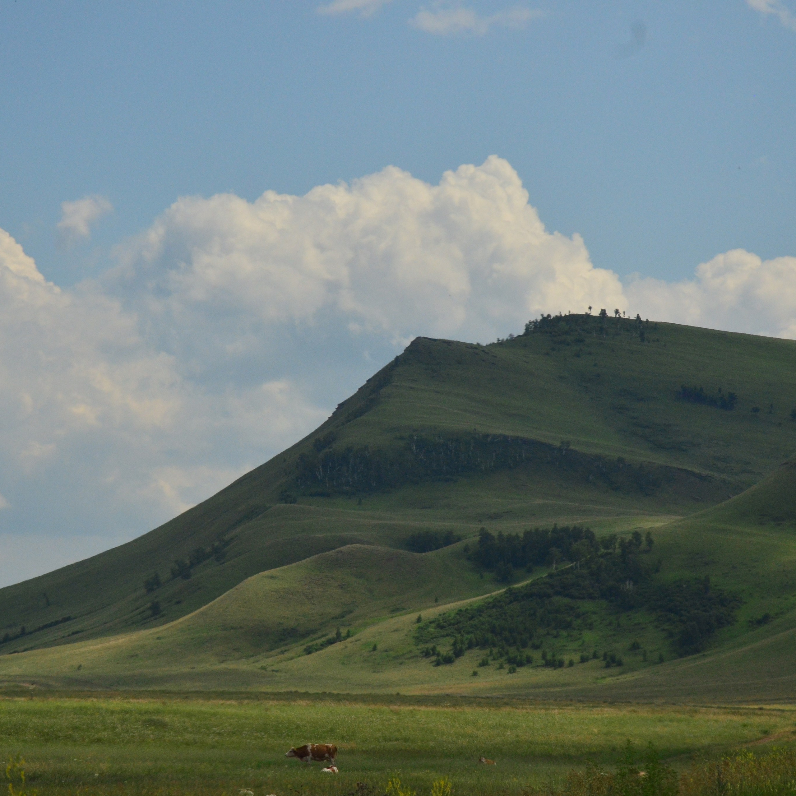 Фотограф viktor viktor