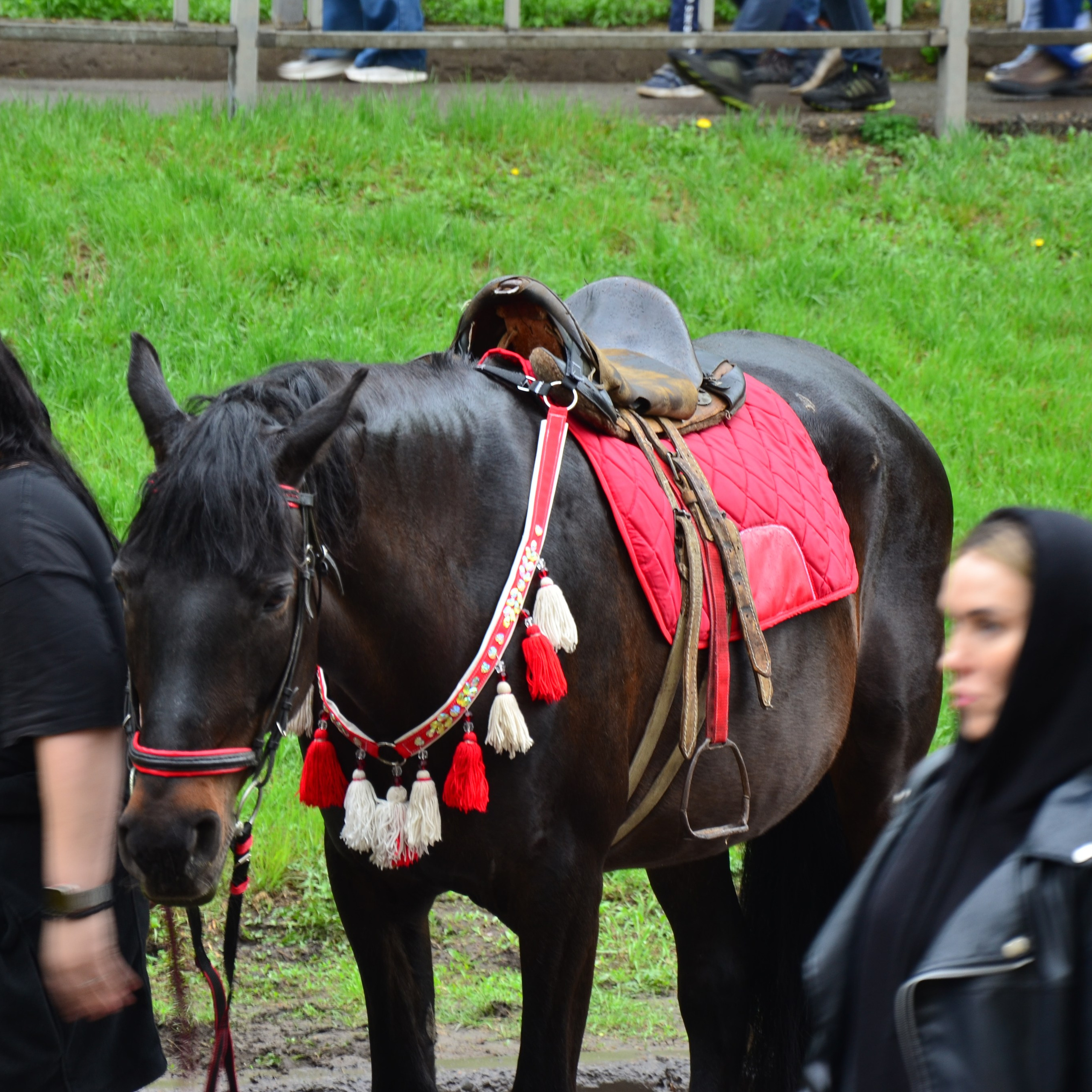 Фотограф viktor viktor