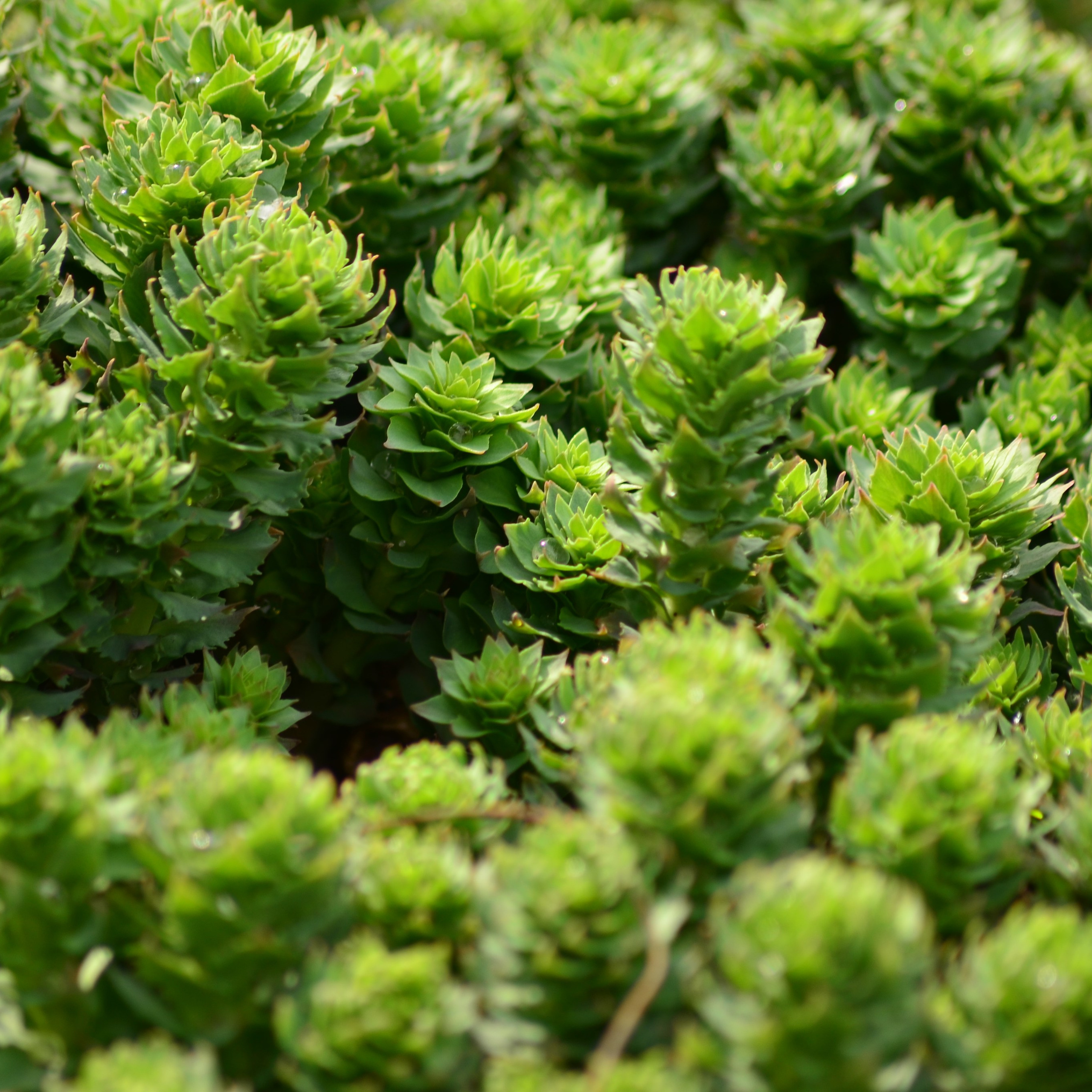 Фотограф viktor viktor