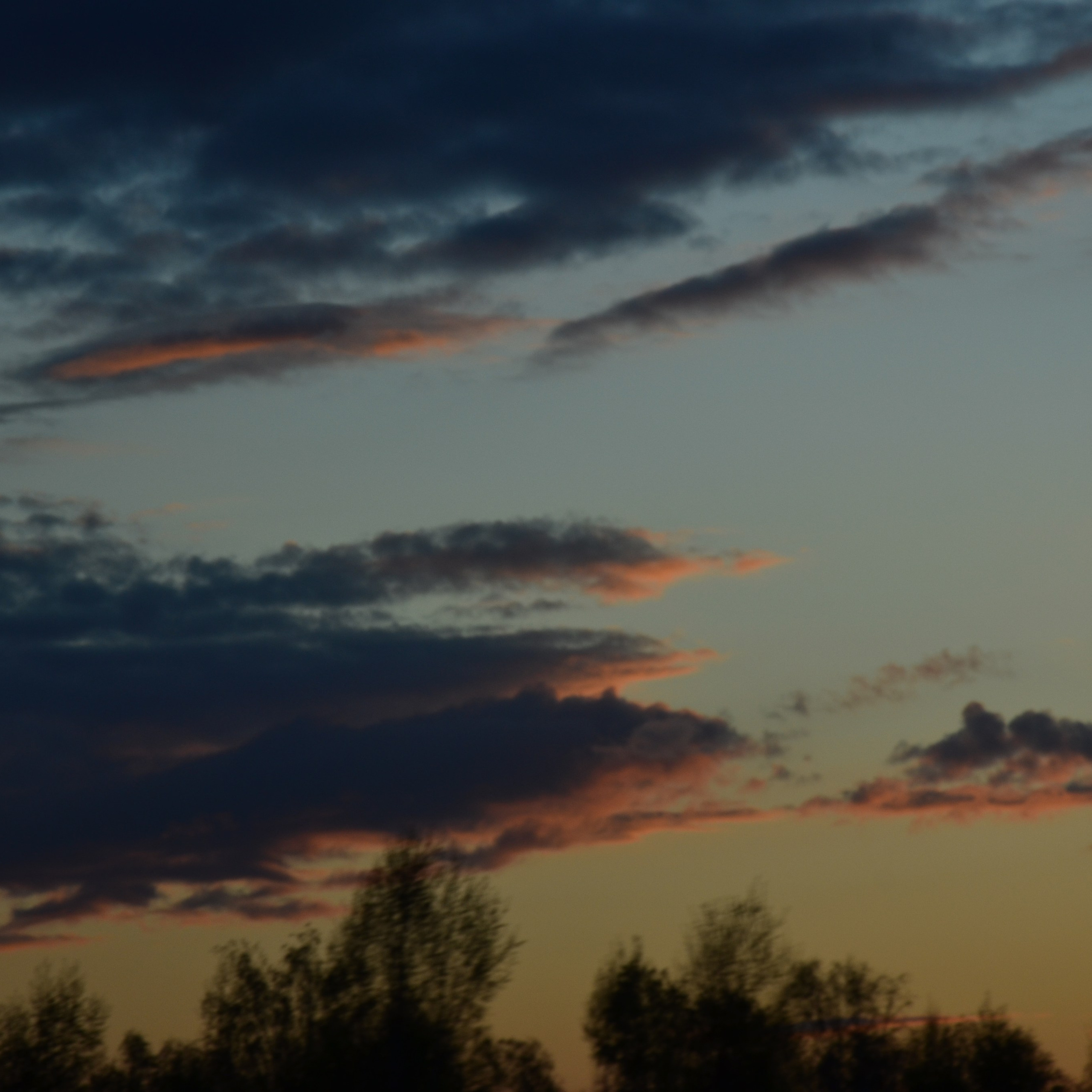 Фотограф viktor viktor