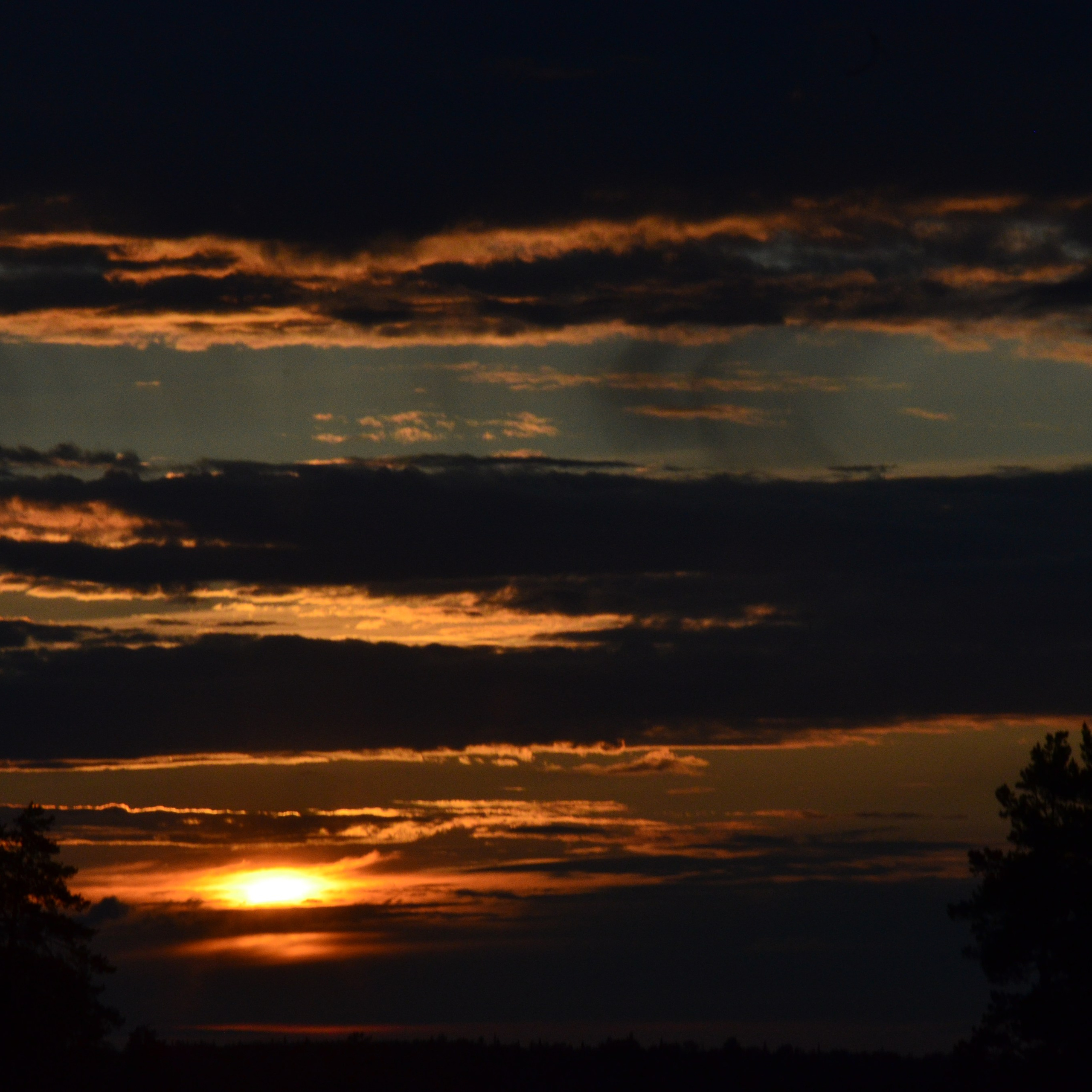 Фотограф viktor viktor