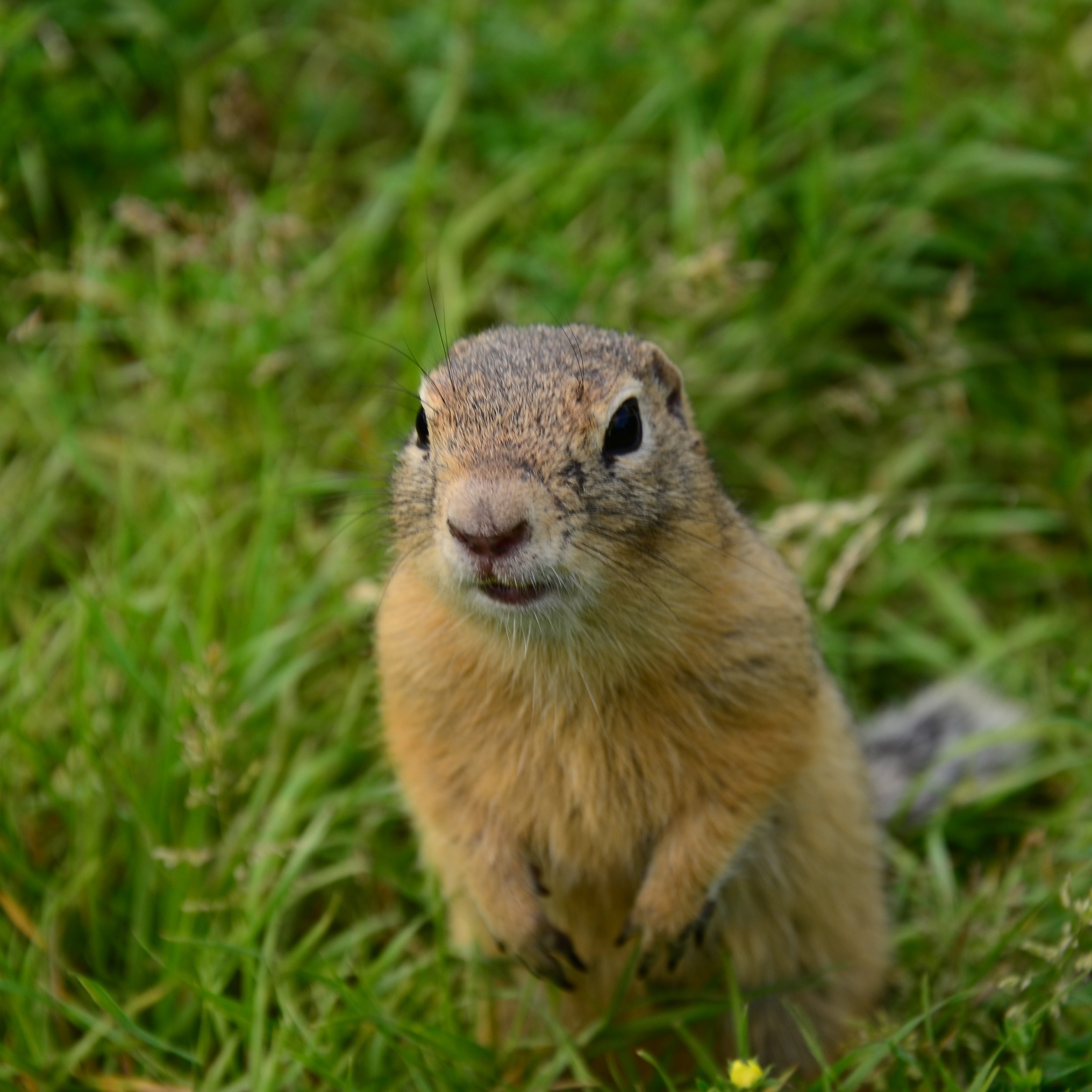Фотограф viktor viktor