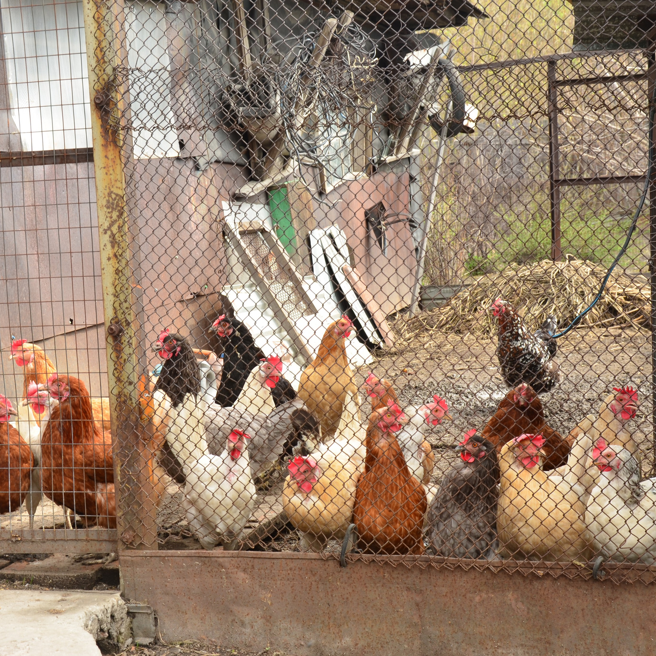 Фотограф viktor viktor