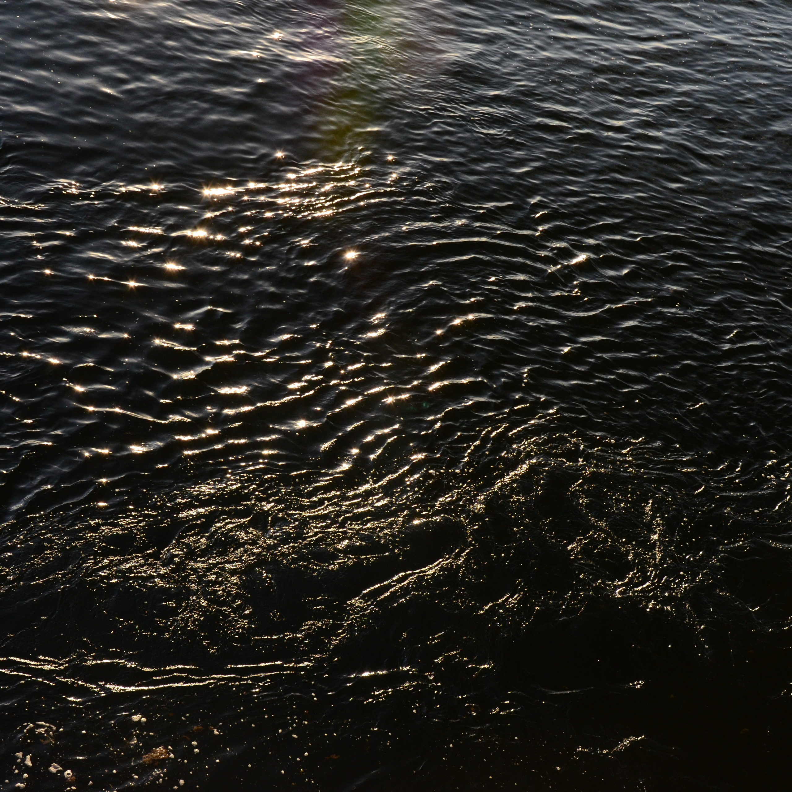 Фотограф viktor viktor