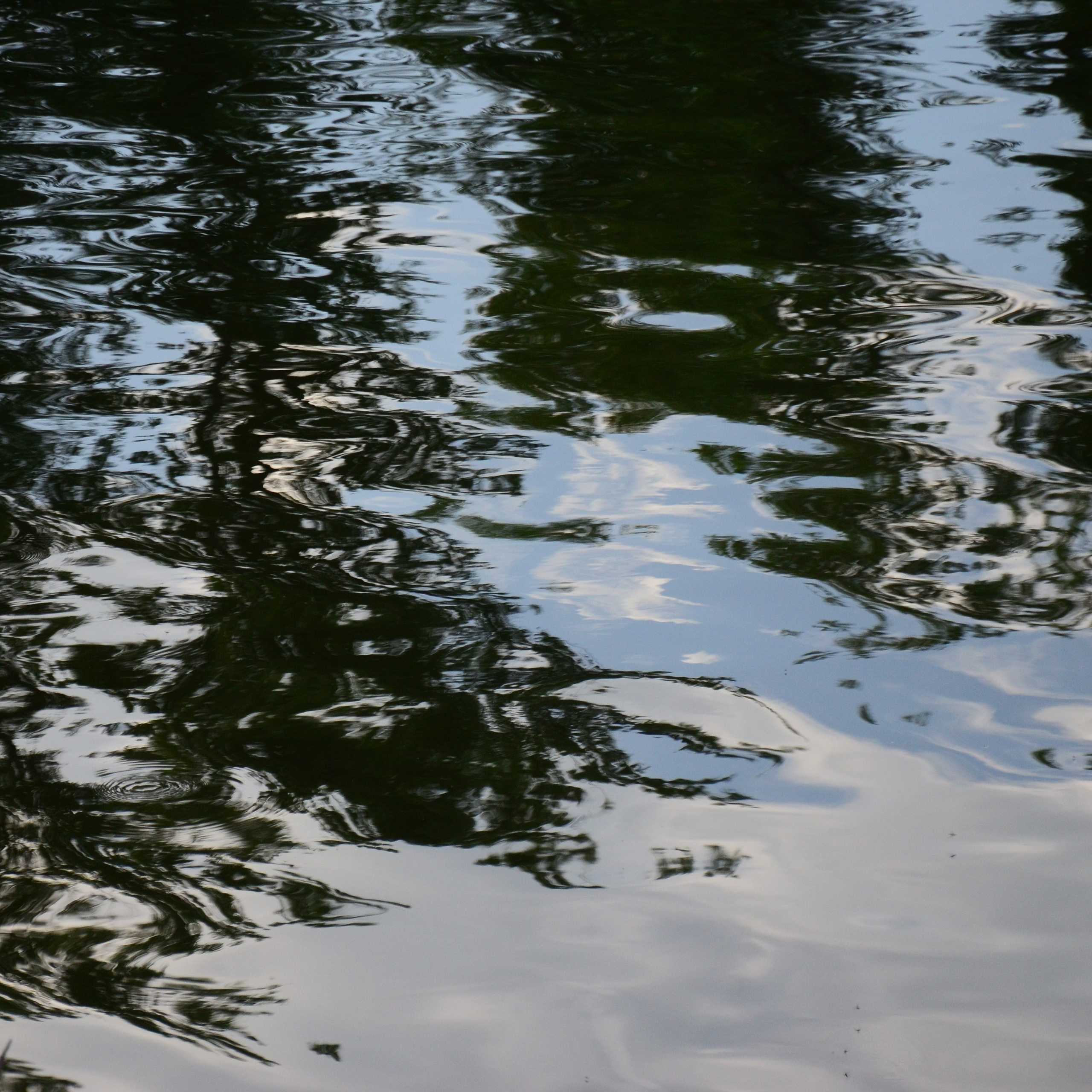 Фотограф viktor viktor