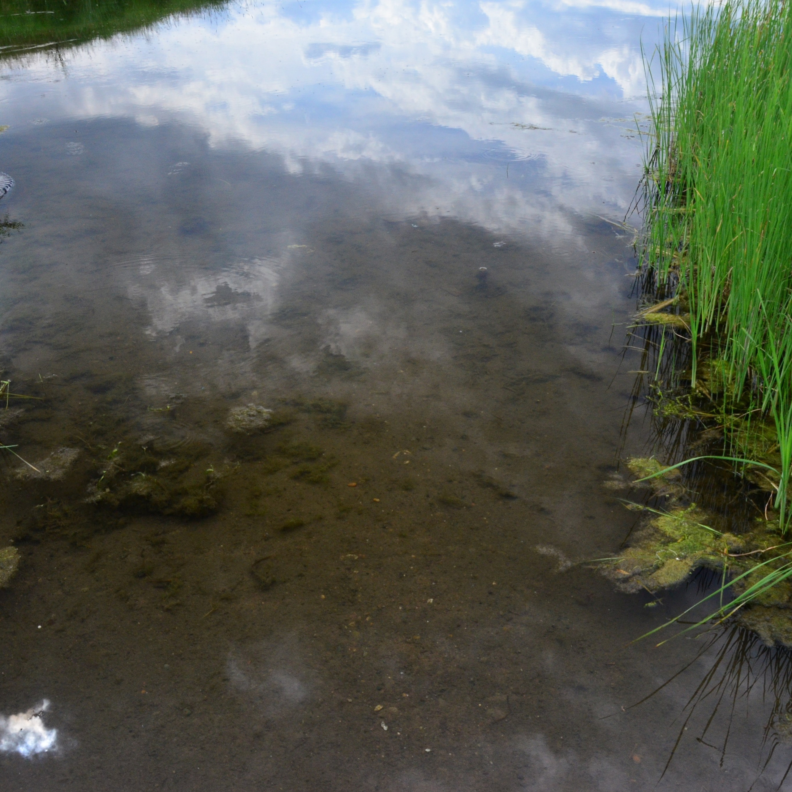 Фотограф viktor viktor
