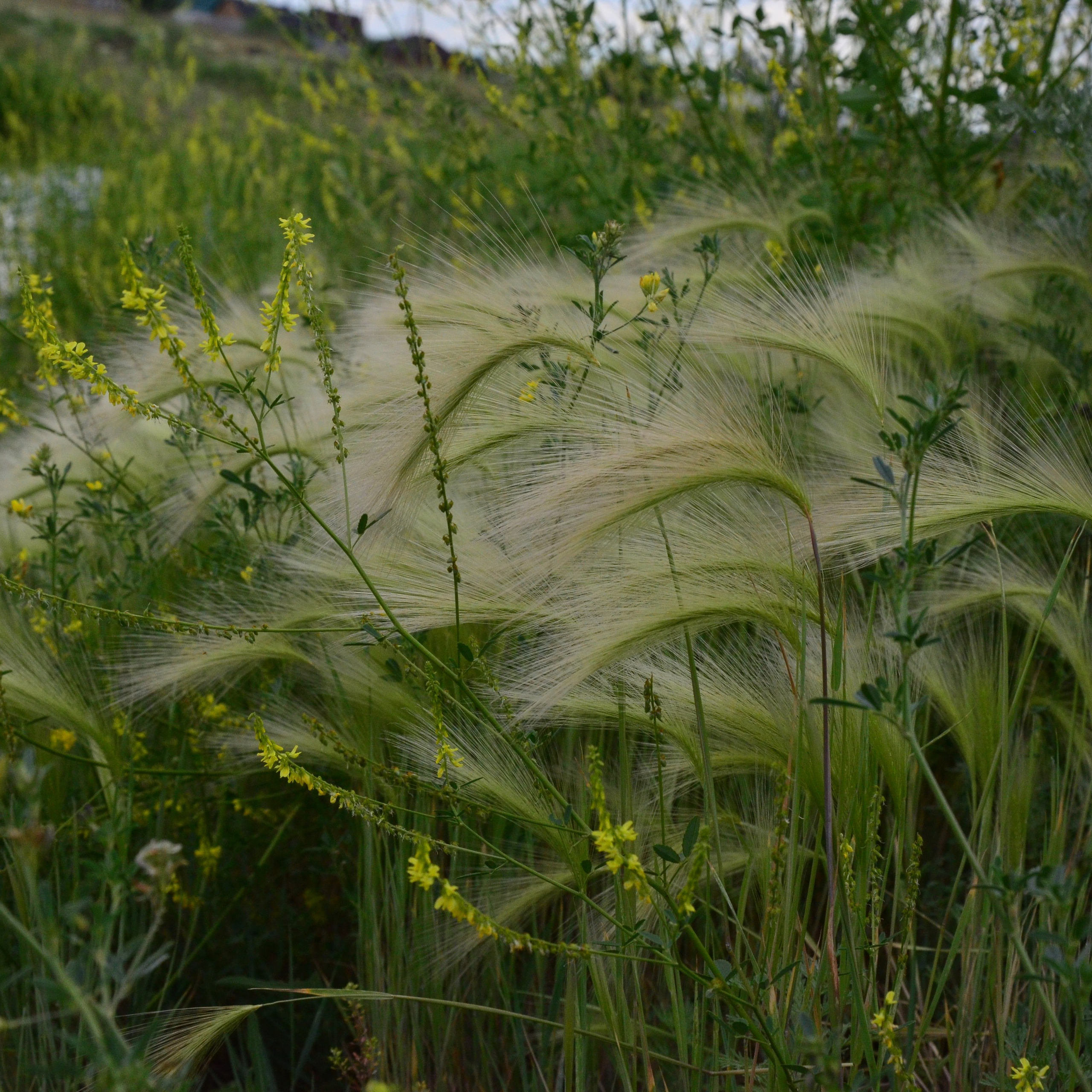 Фотограф viktor viktor