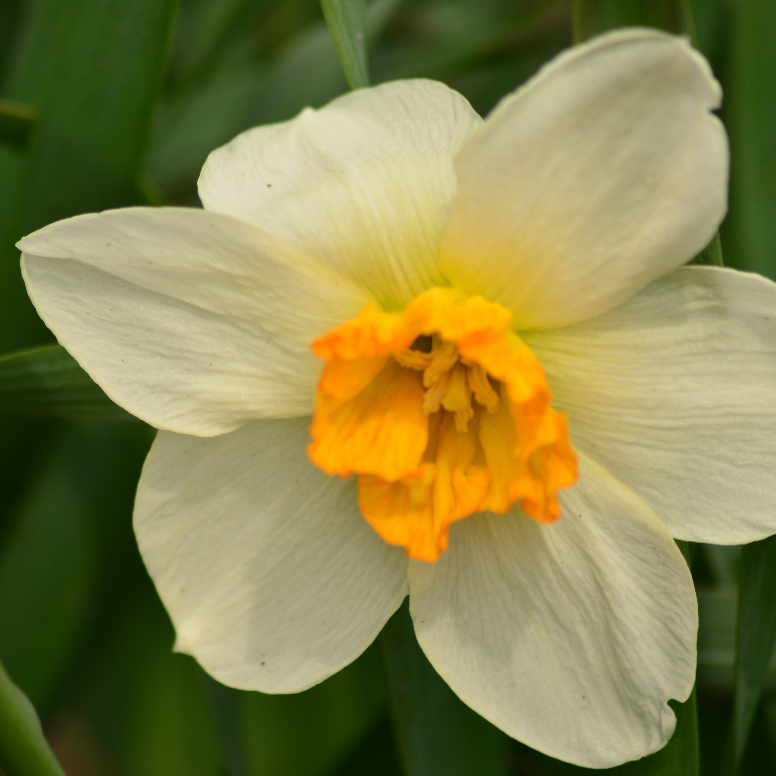 Фотограф viktor viktor