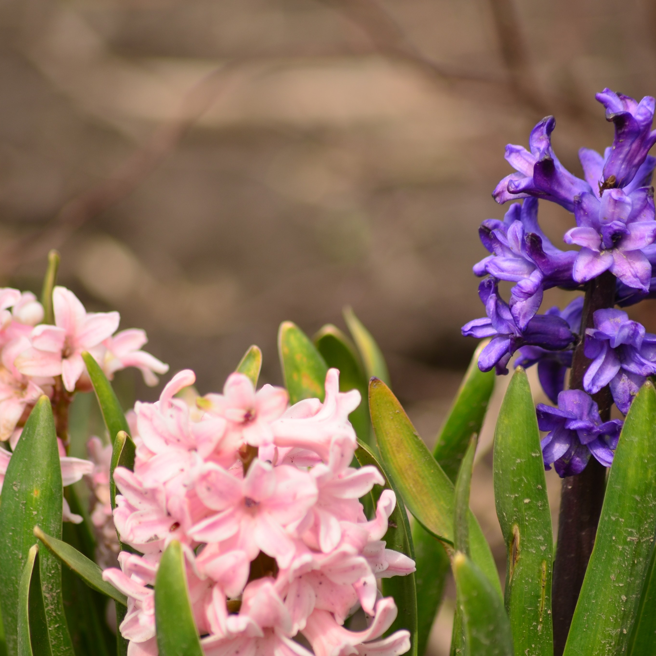 Фотограф viktor viktor