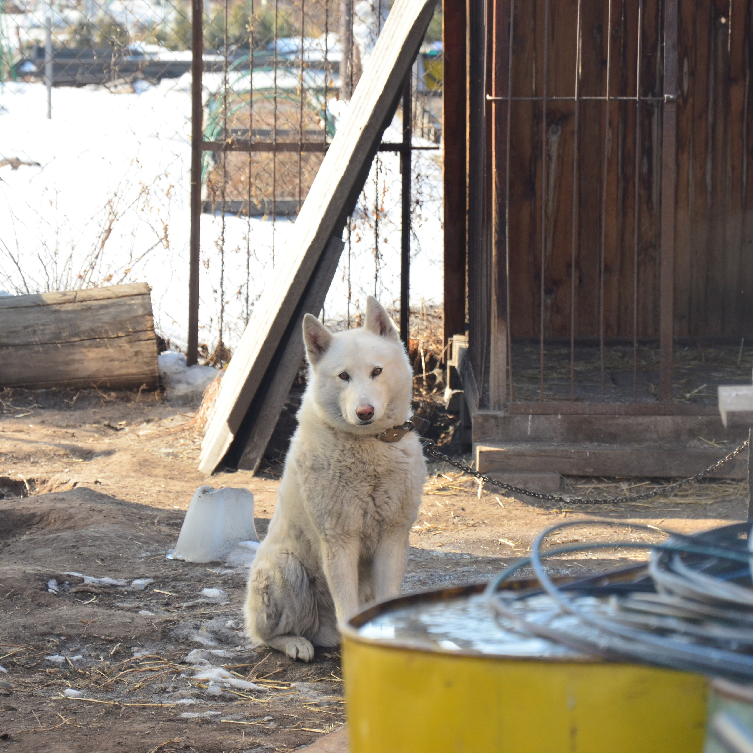 Фотограф viktor viktor