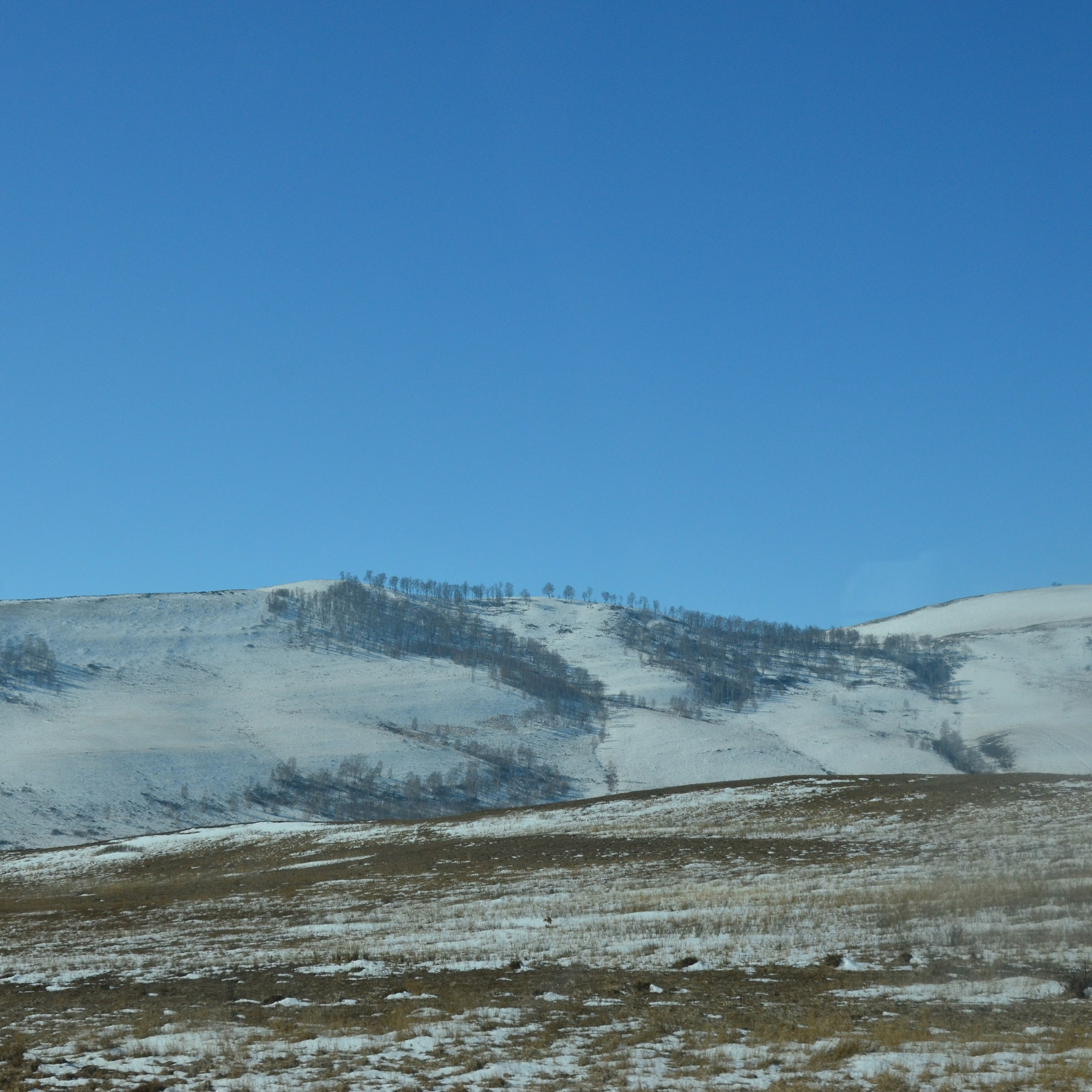 Фотограф viktor viktor