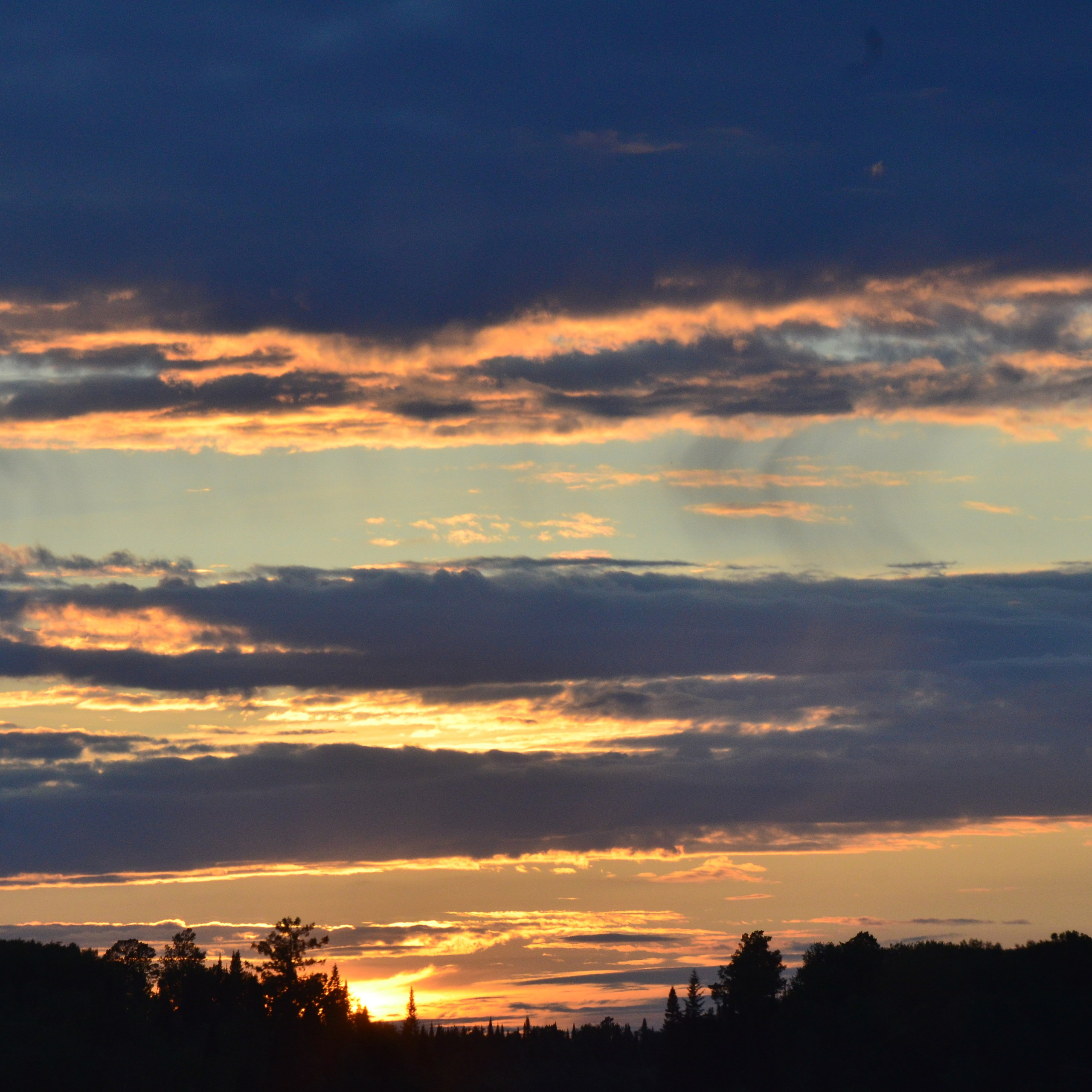 Фотограф viktor viktor