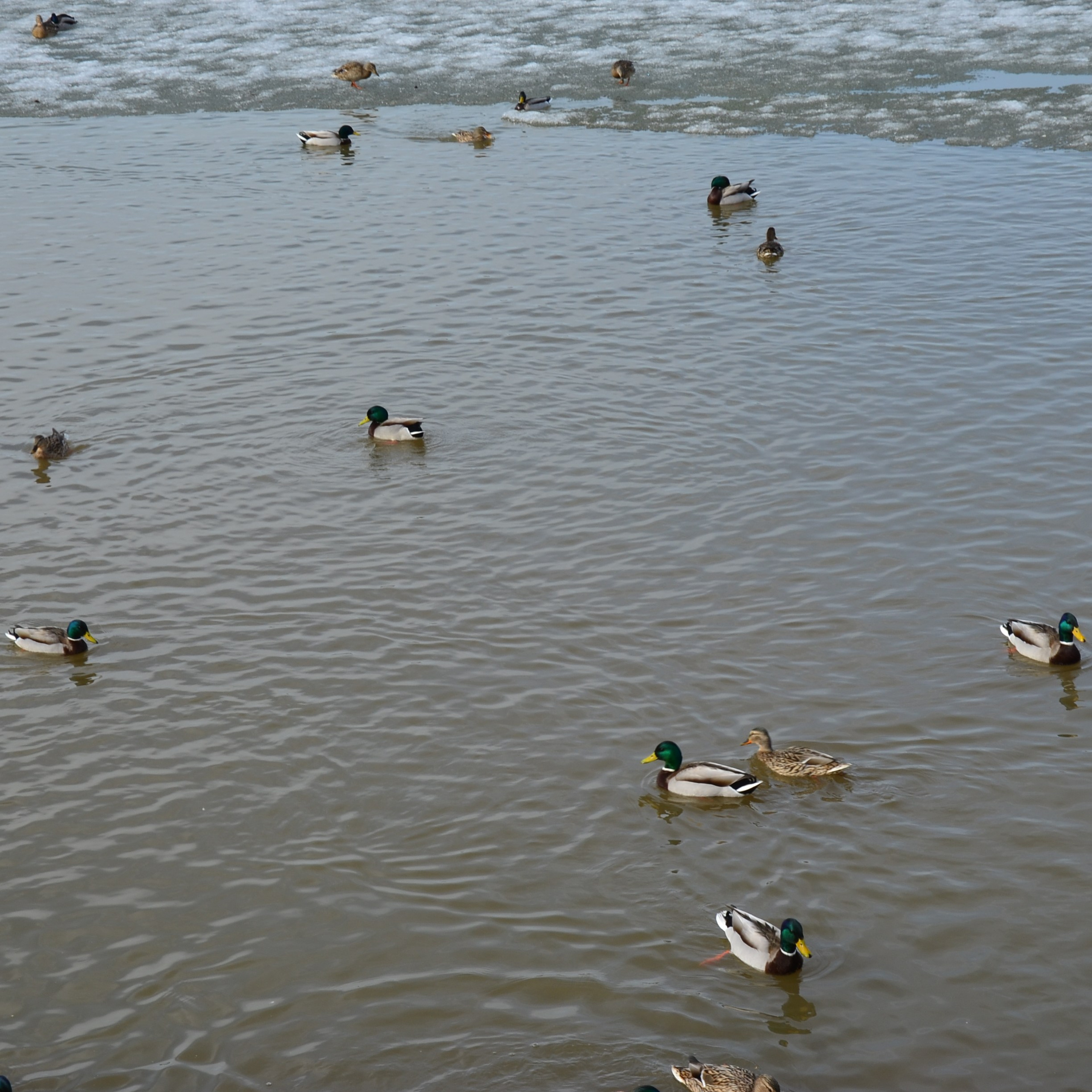 Фотограф viktor viktor