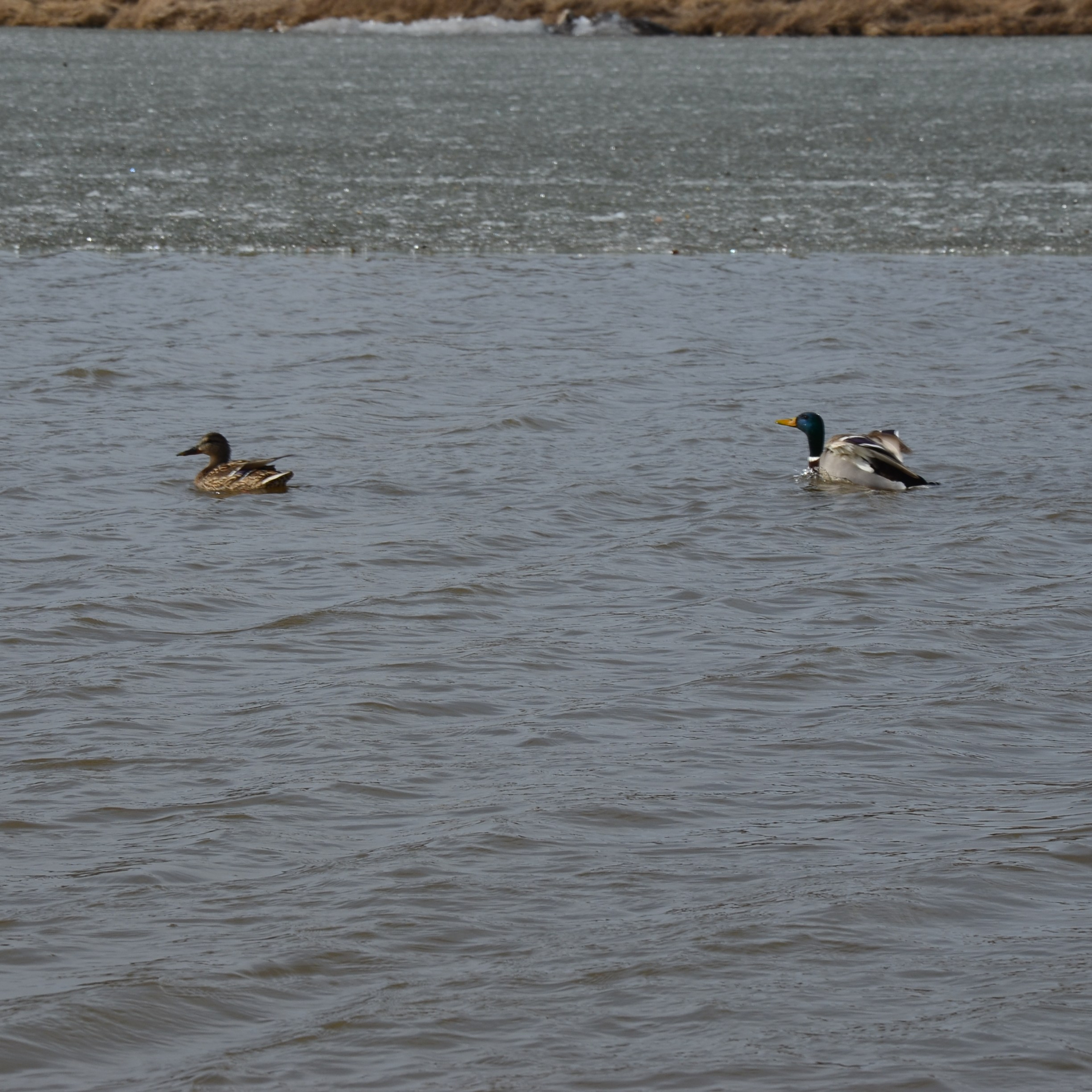 Фотограф viktor viktor