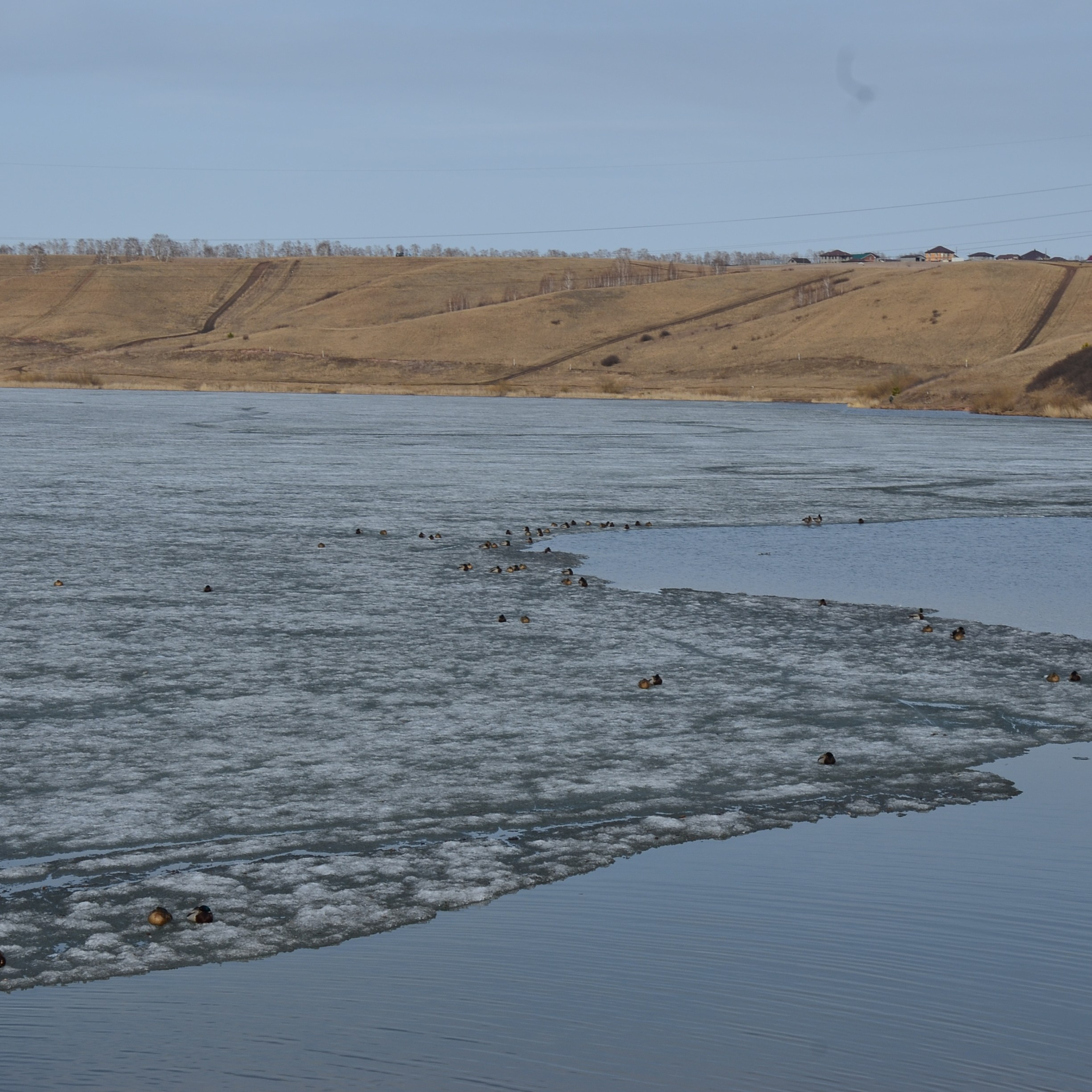 Фотограф viktor viktor
