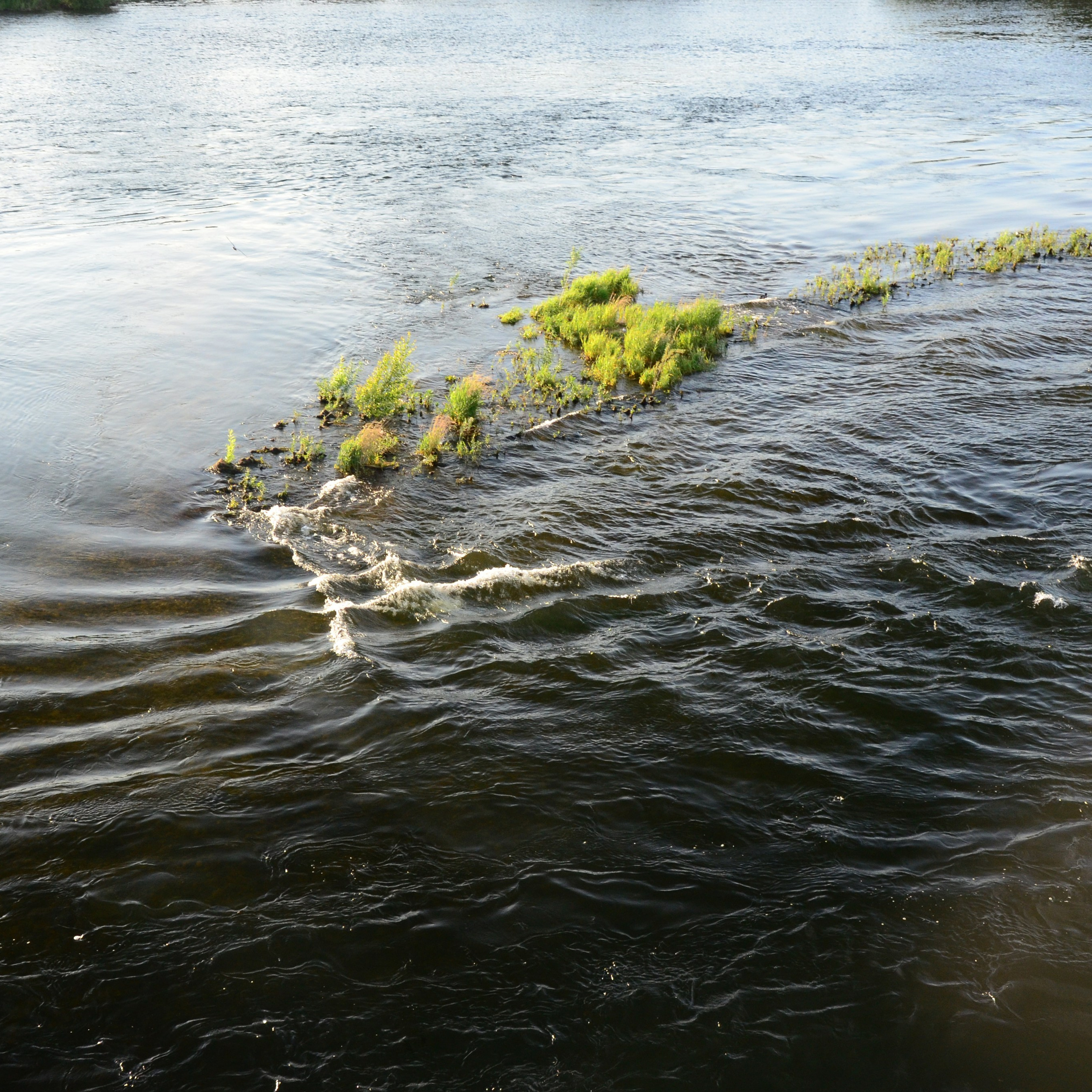 Фотограф viktor viktor