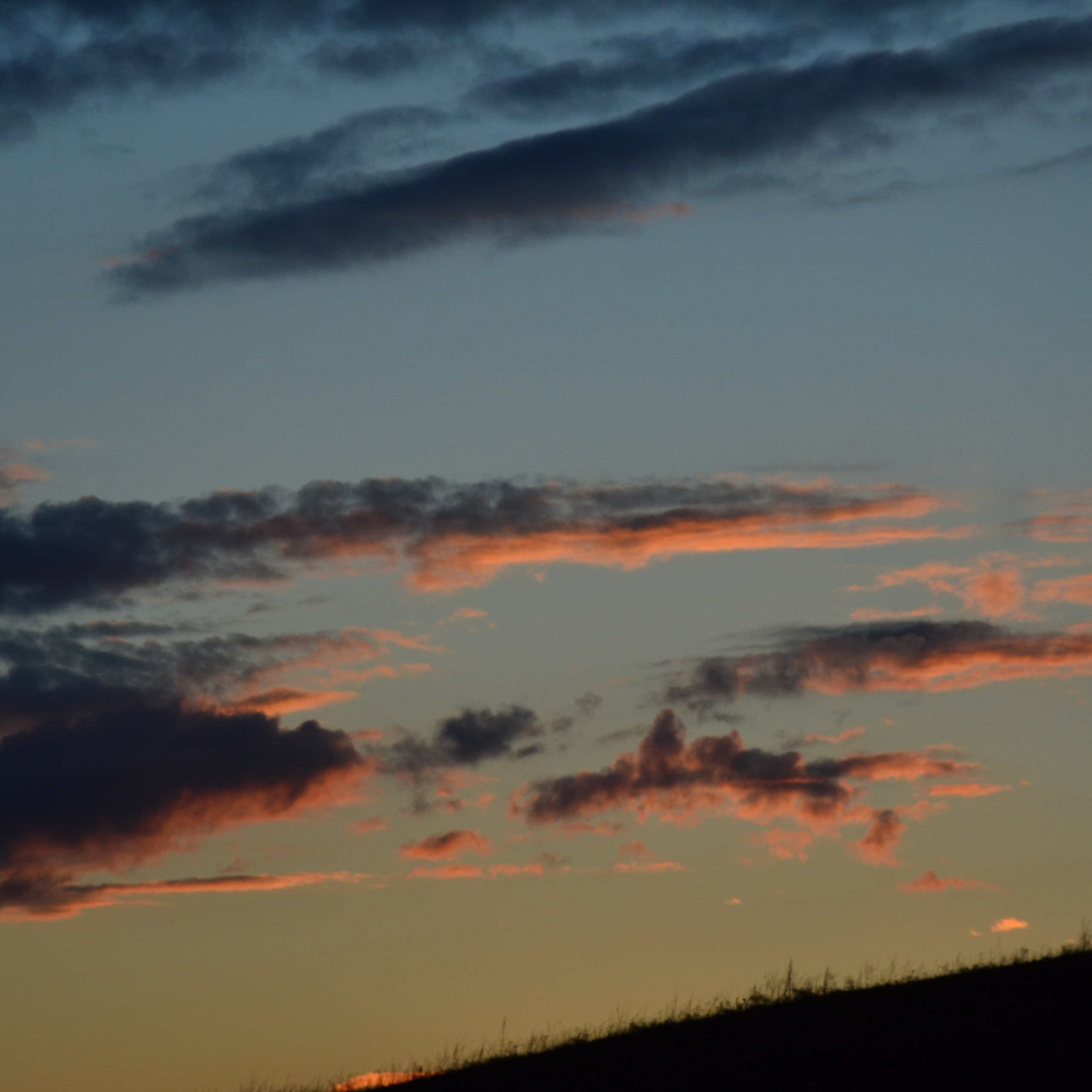 Фотограф viktor viktor