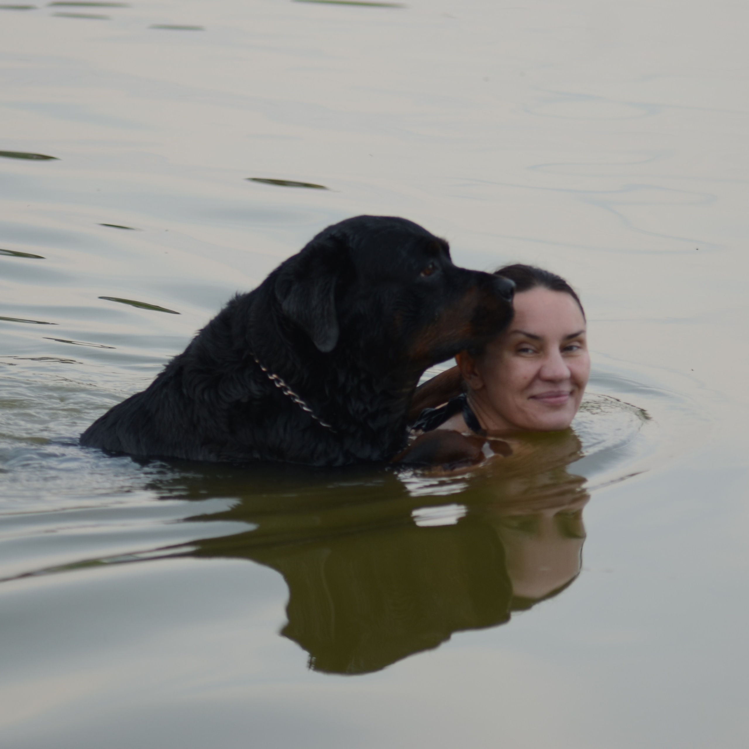 Фотограф viktor viktor