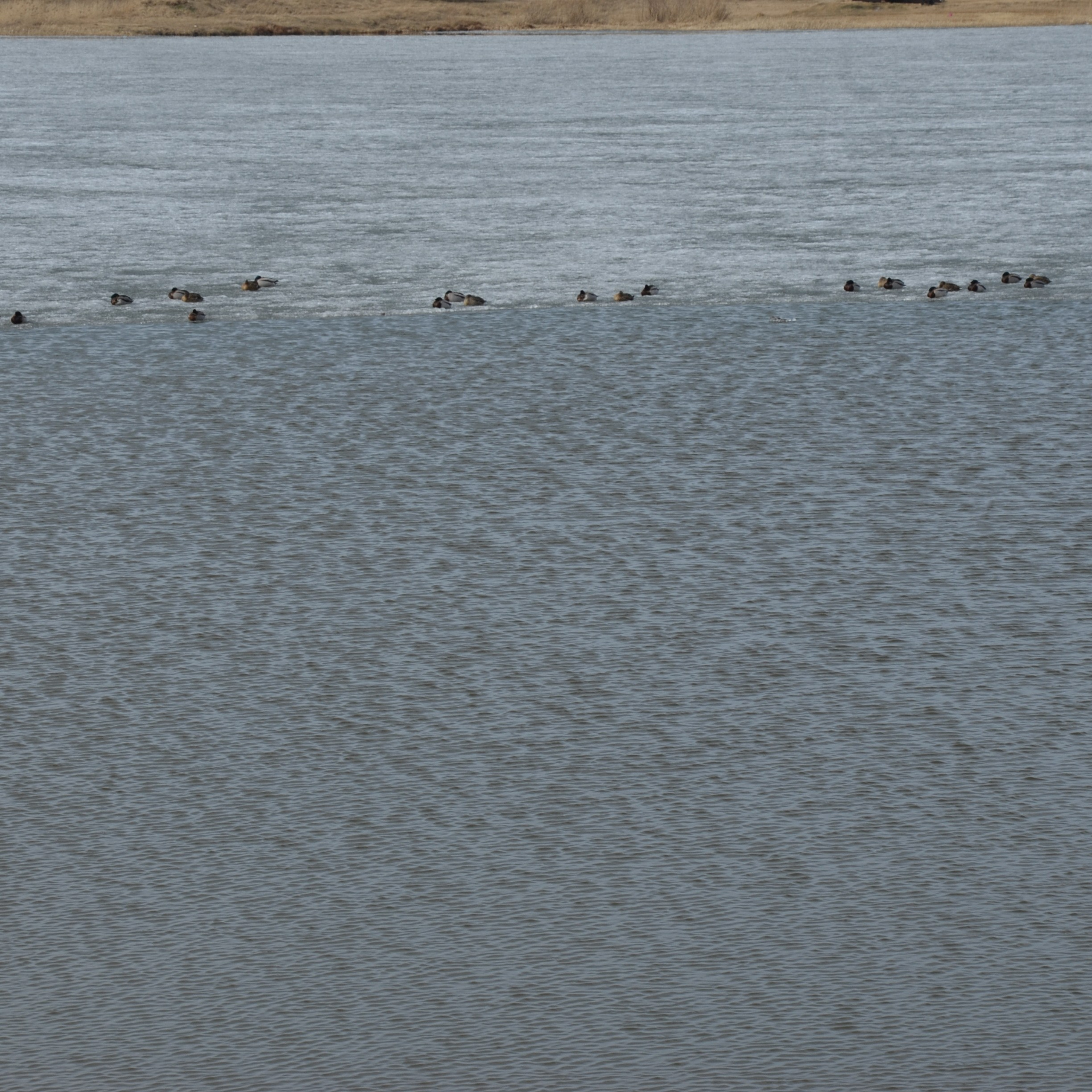 Фотограф viktor viktor