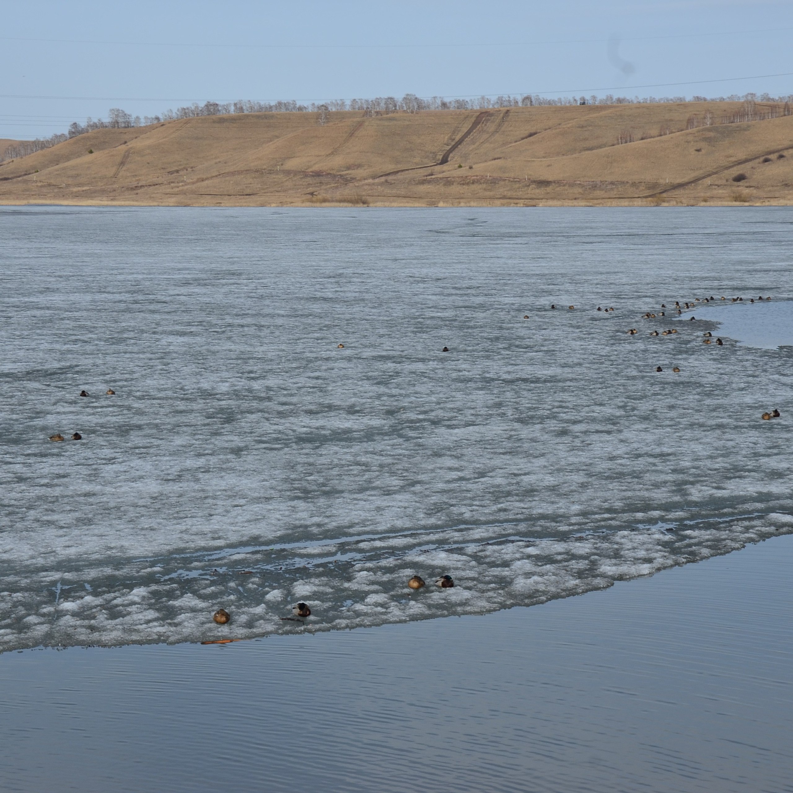 Фотограф viktor viktor