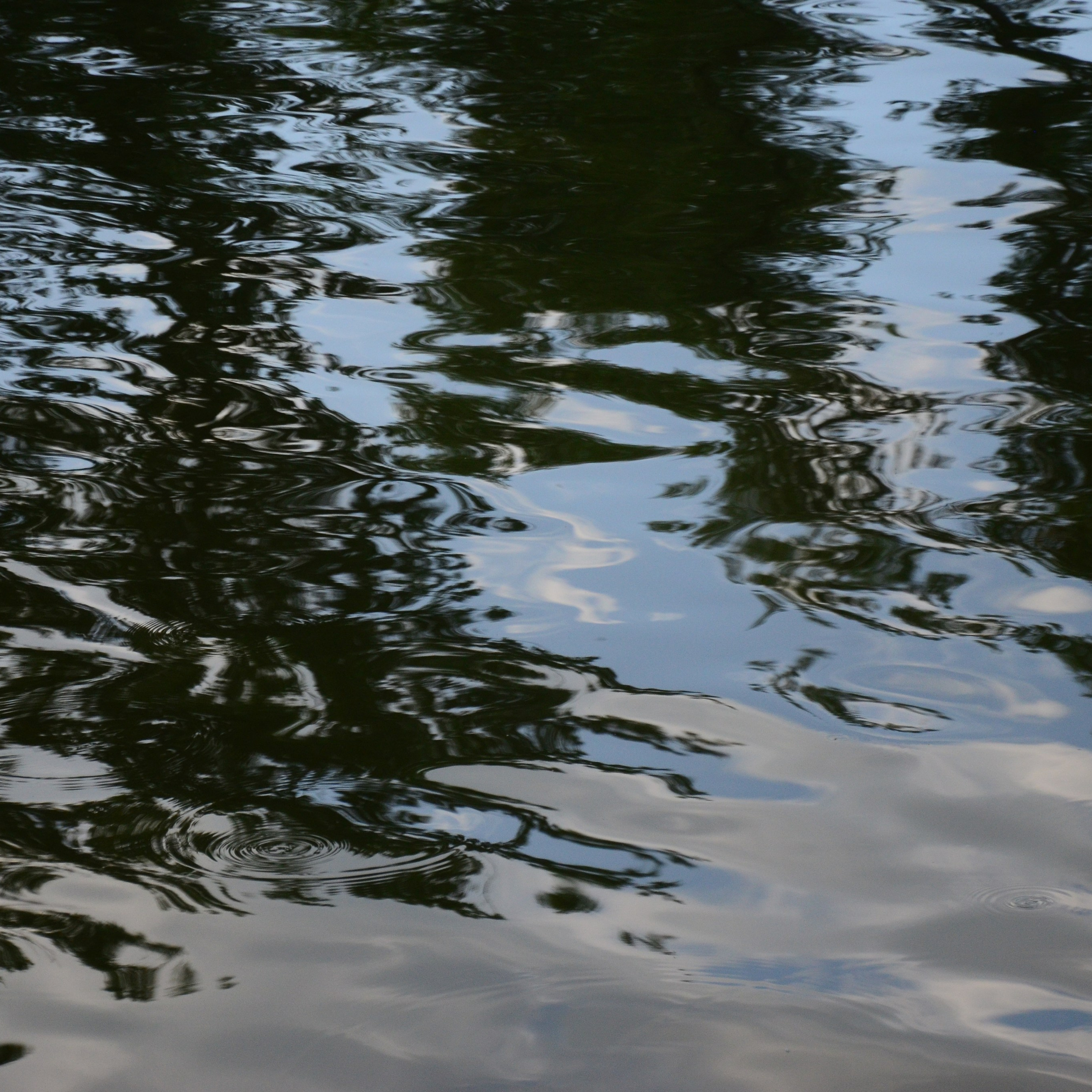 Фотограф viktor viktor