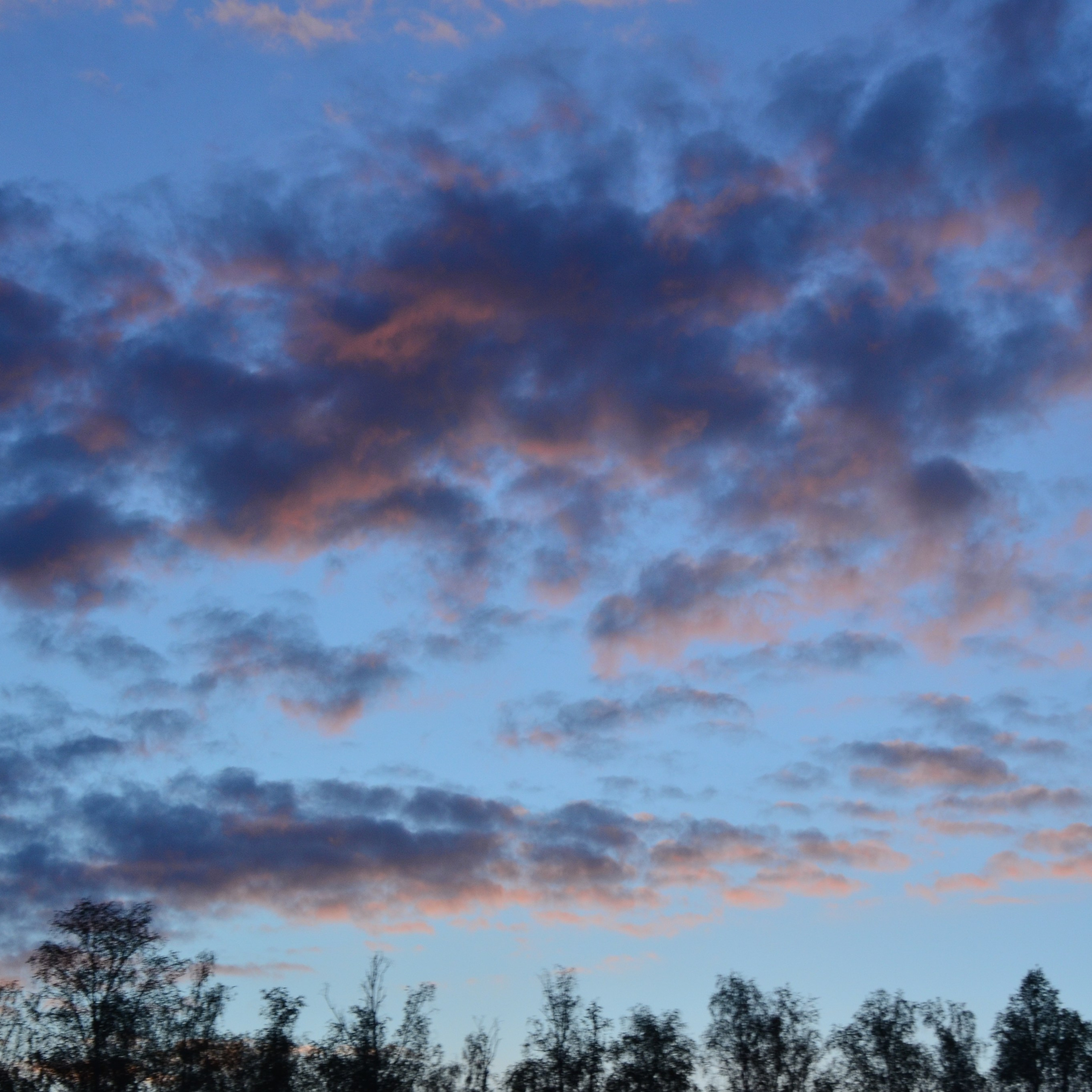 Фотограф viktor viktor