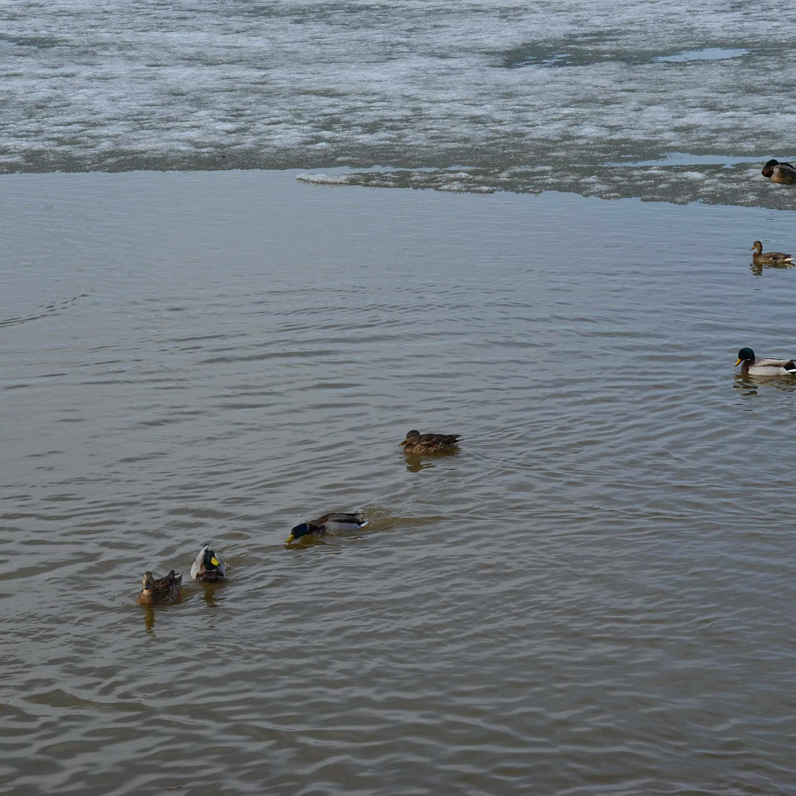 Фотограф viktor viktor