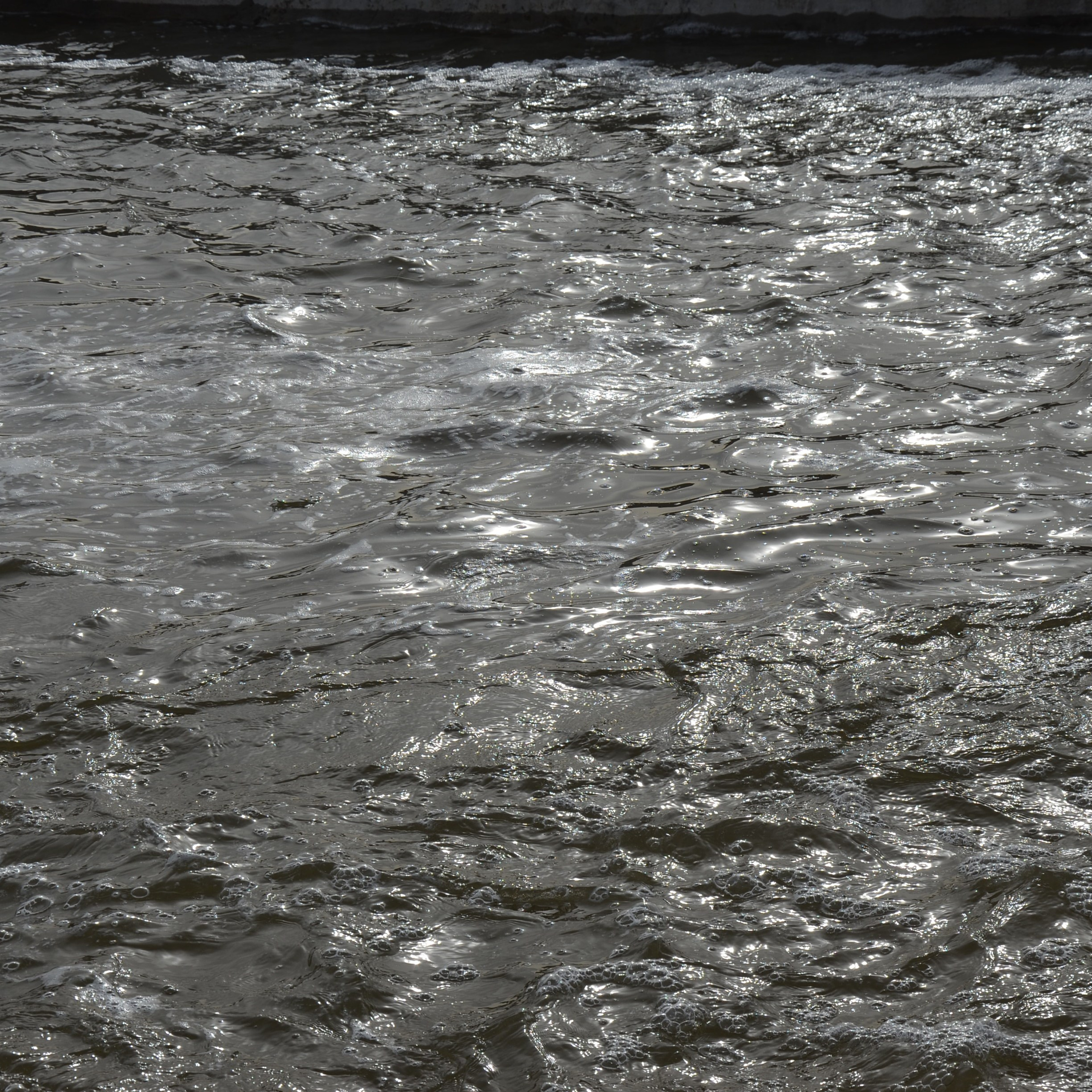 Фотограф viktor viktor